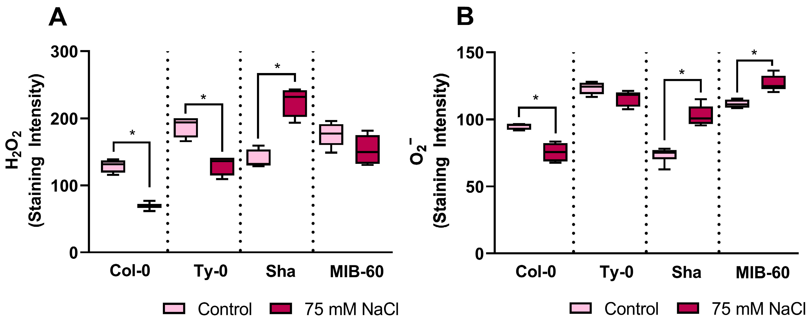 Plants 13 01069 g003