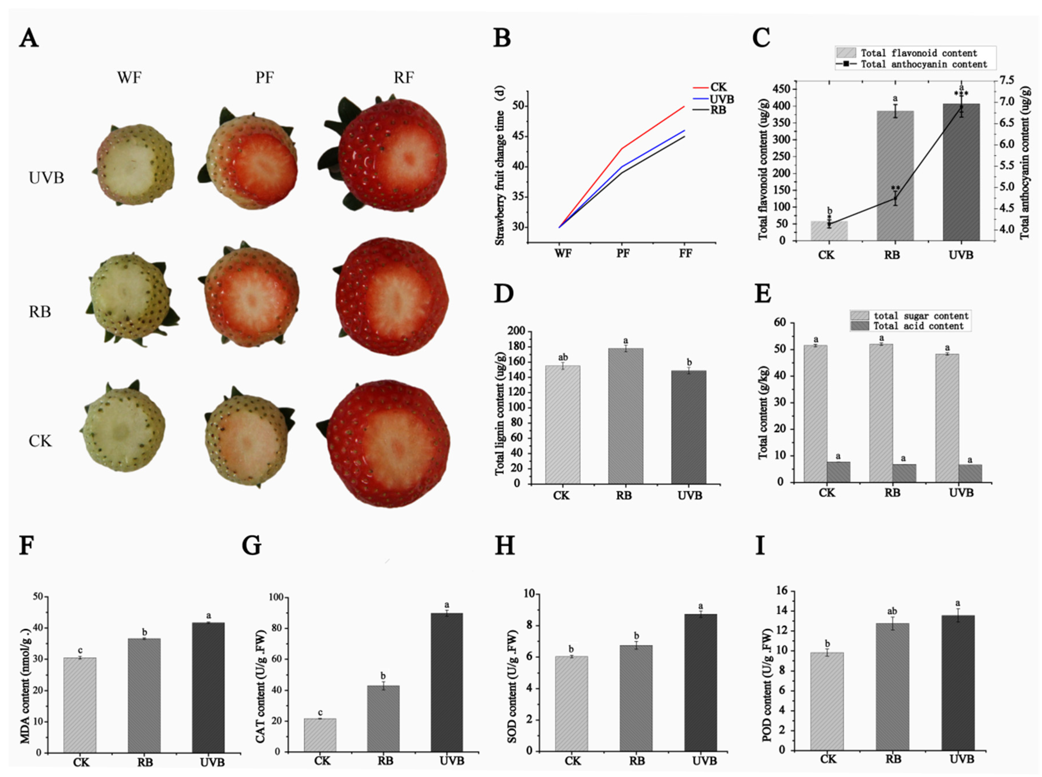 Plants 13 01070 g001