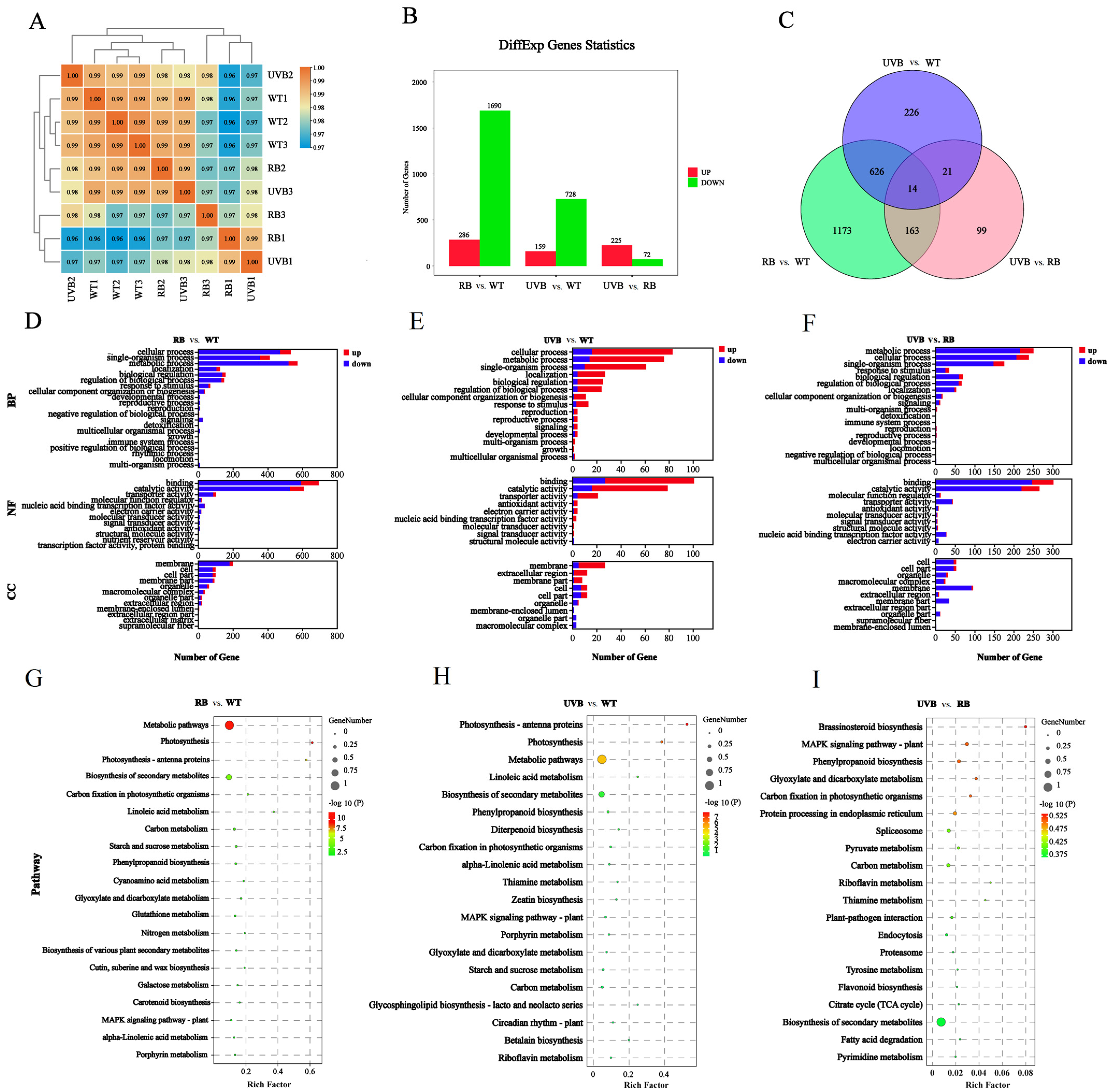 Plants 13 01070 g004