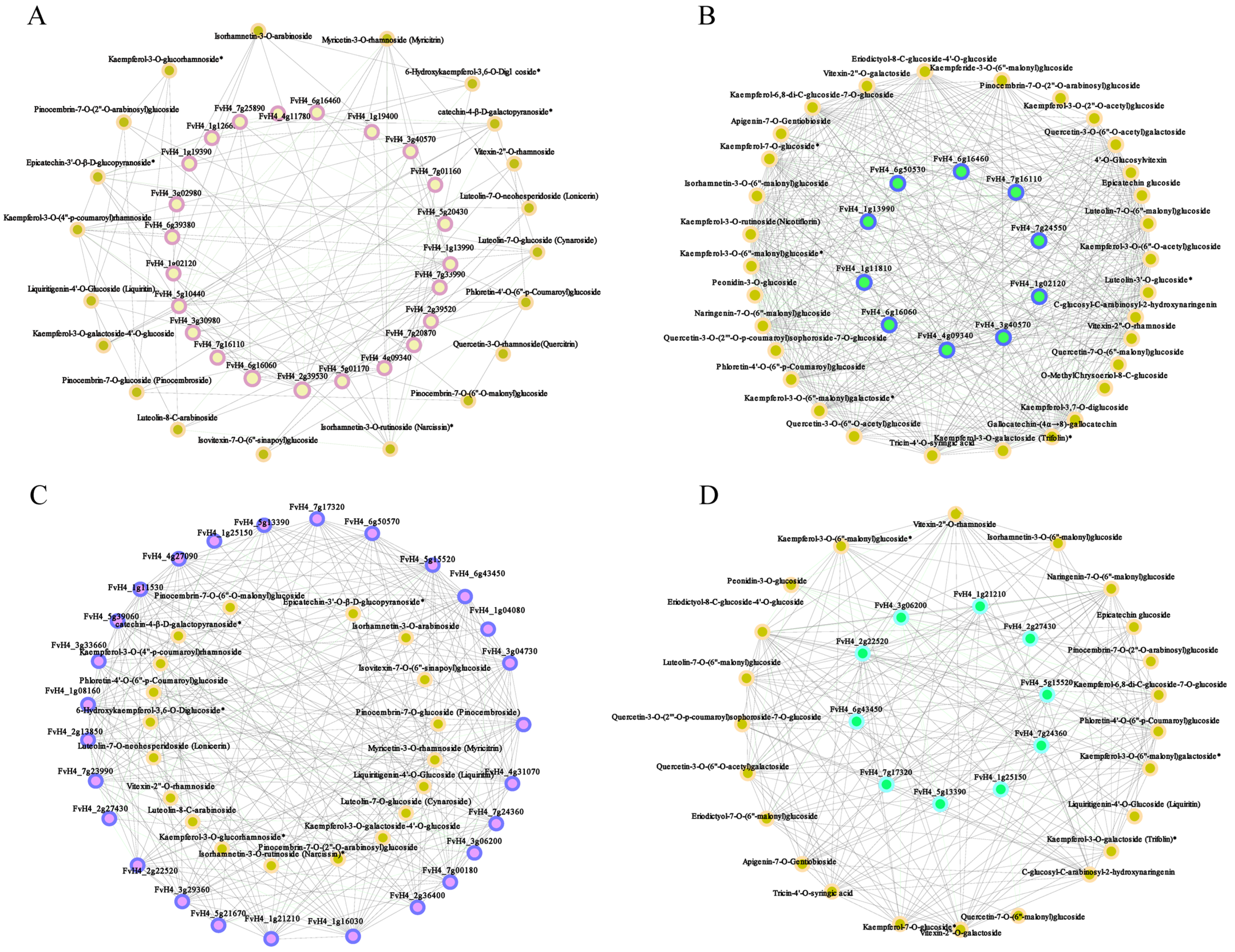 Plants 13 01070 g007
