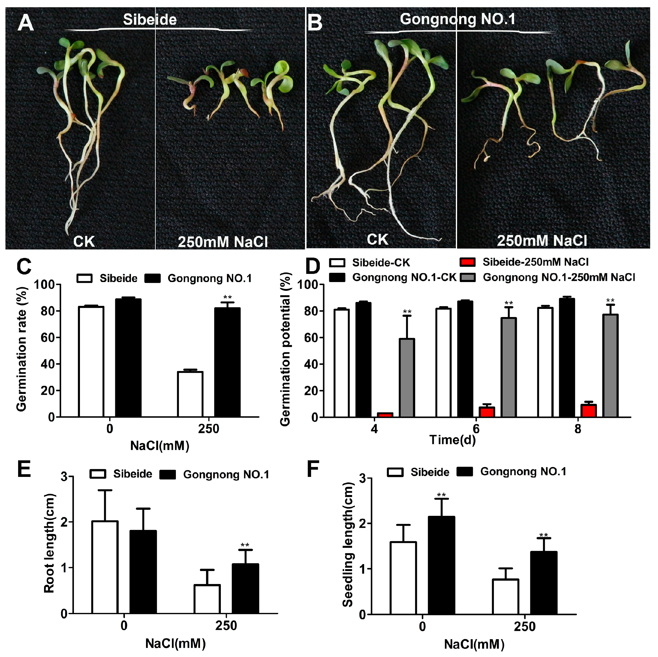 Plants 13 01073 g001