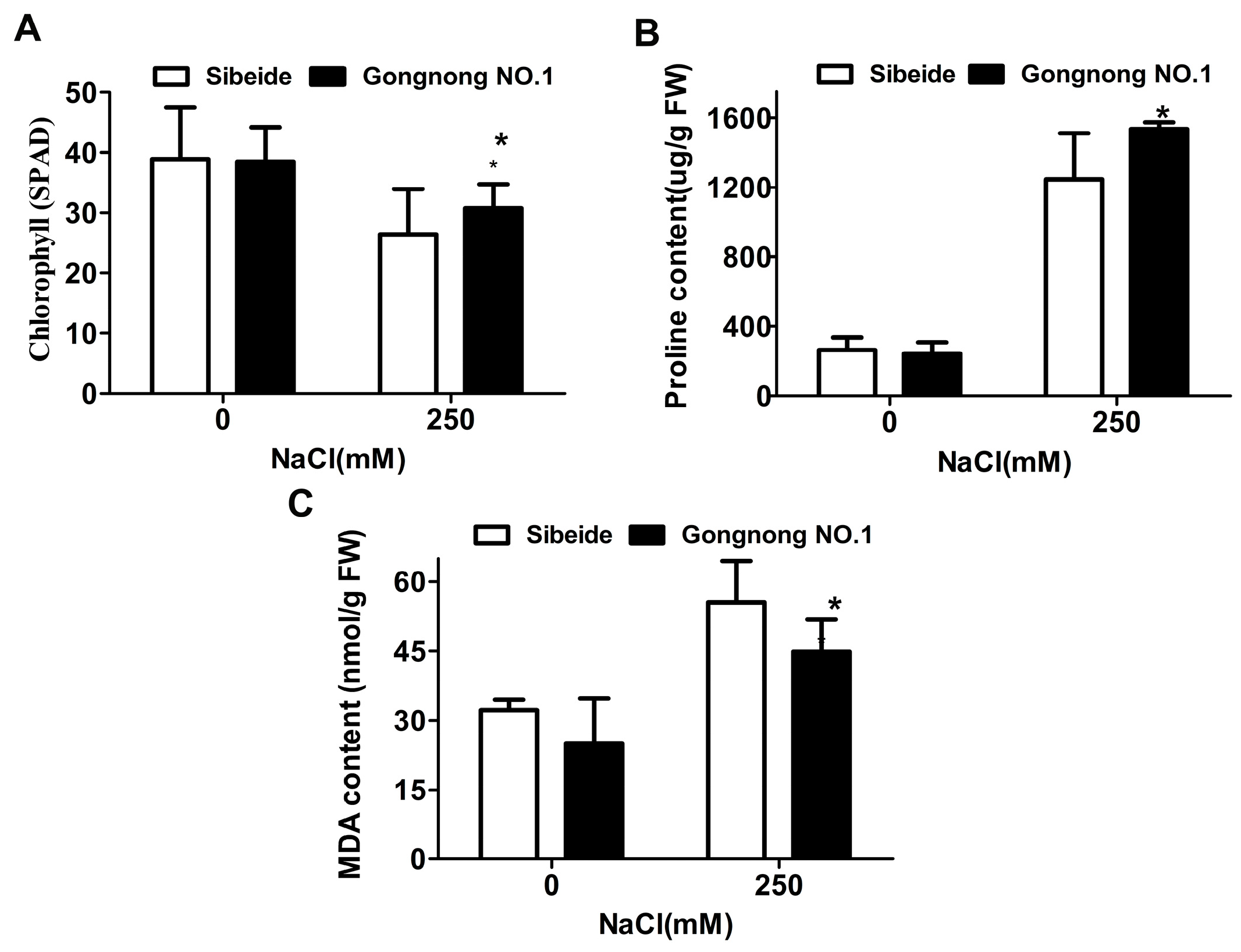 Plants 13 01073 g002