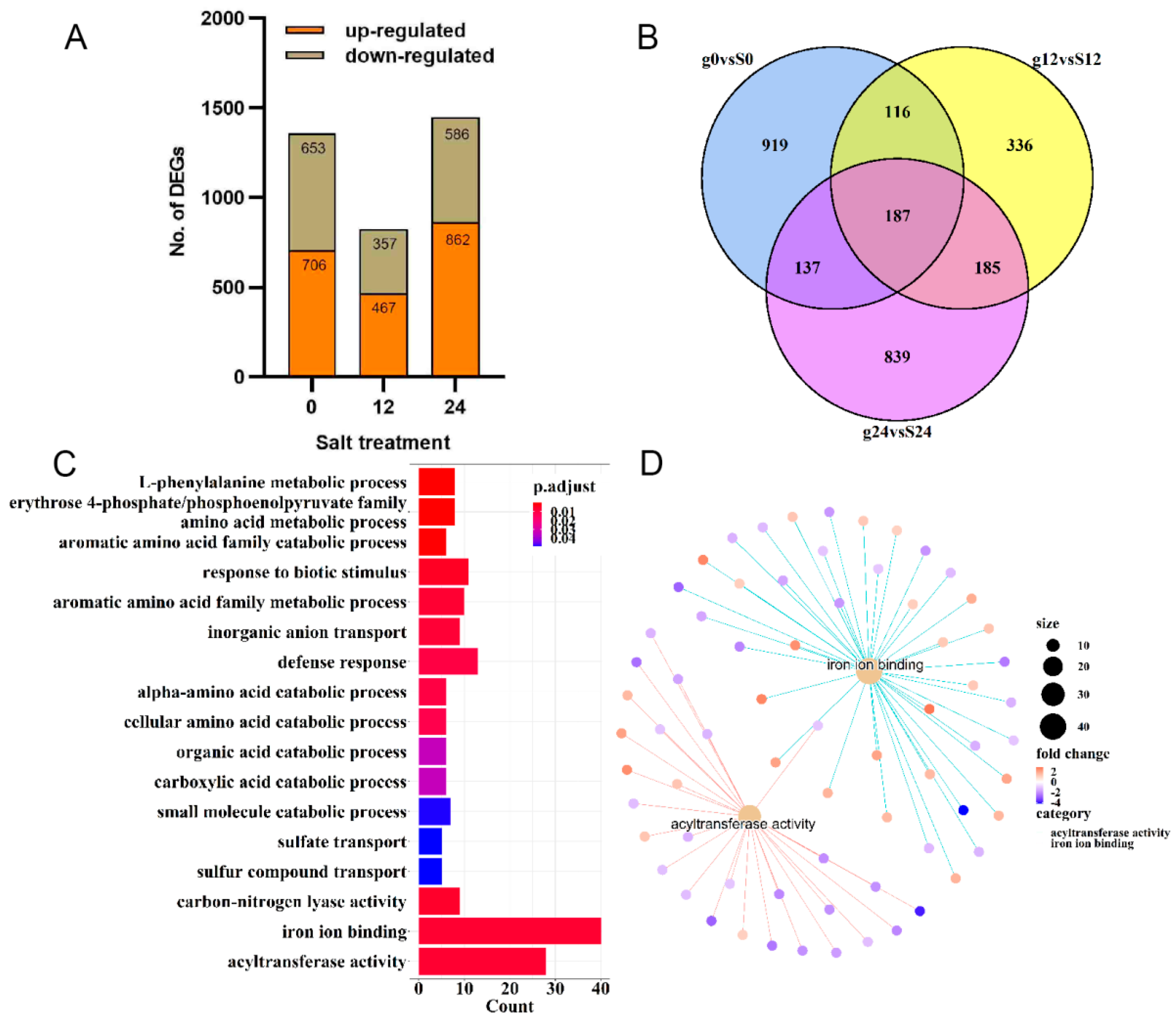 Plants 13 01073 g004