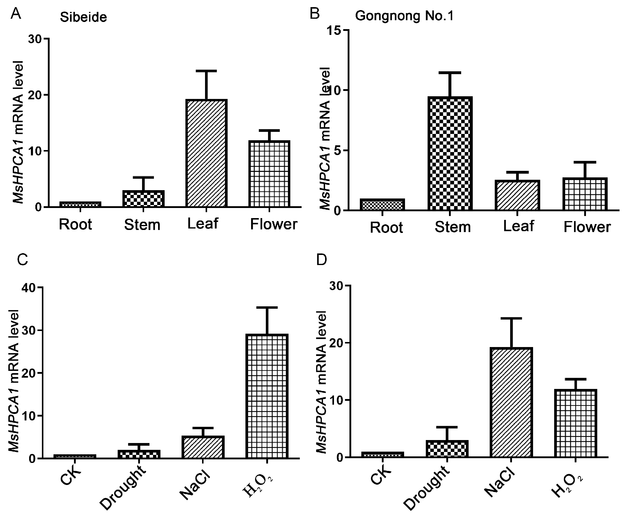 Plants 13 01073 g006