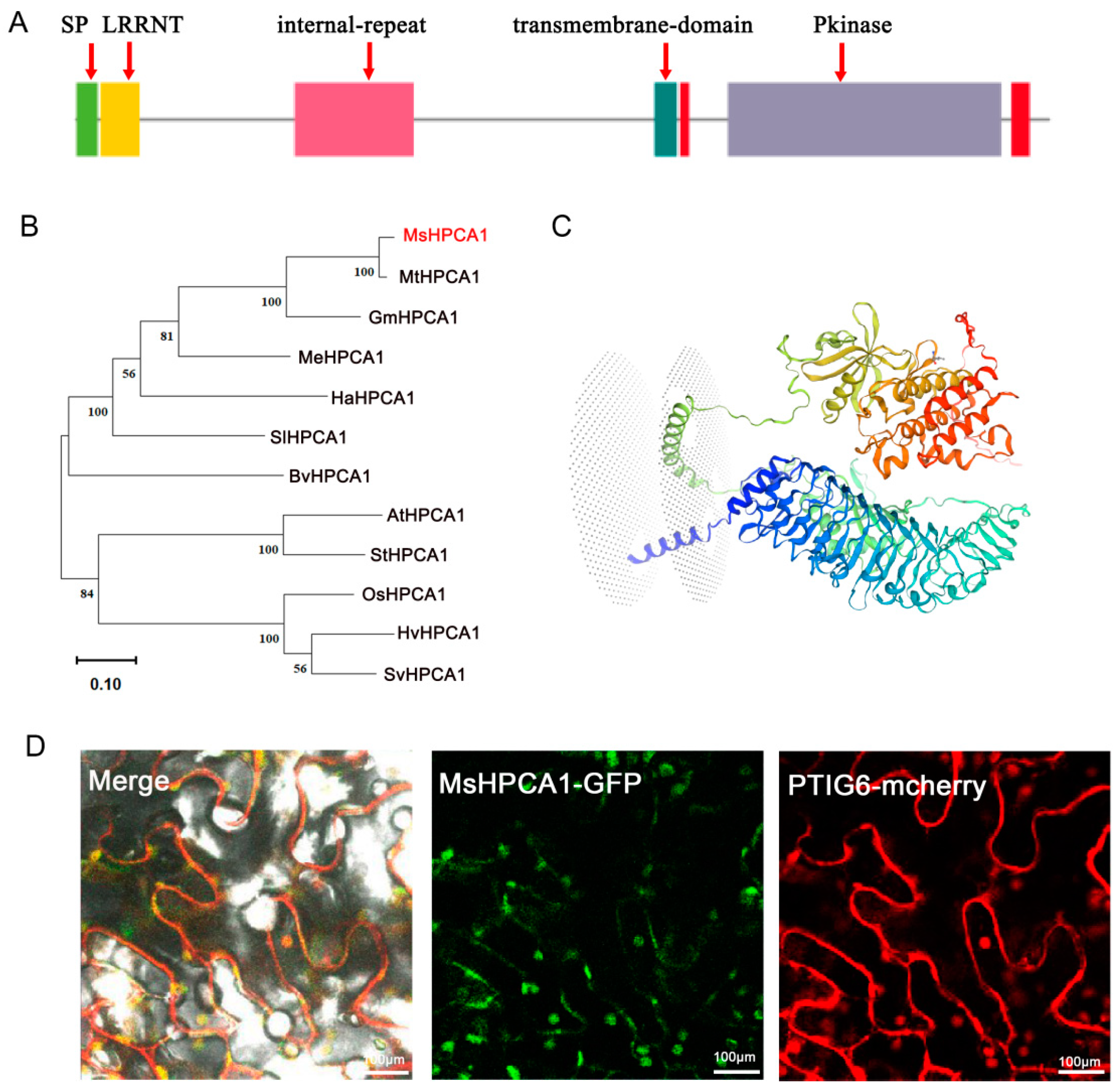 Plants 13 01073 g007