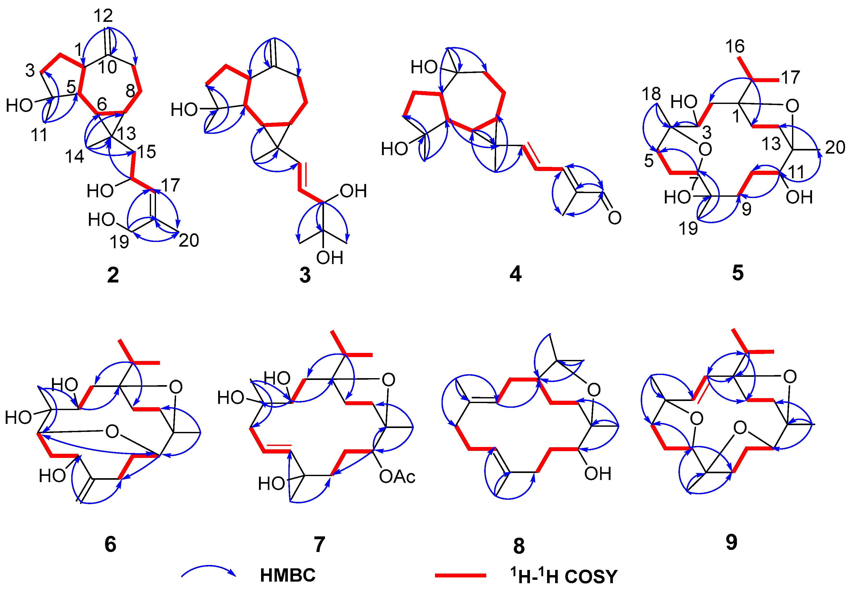 Plants 13 01074 g004