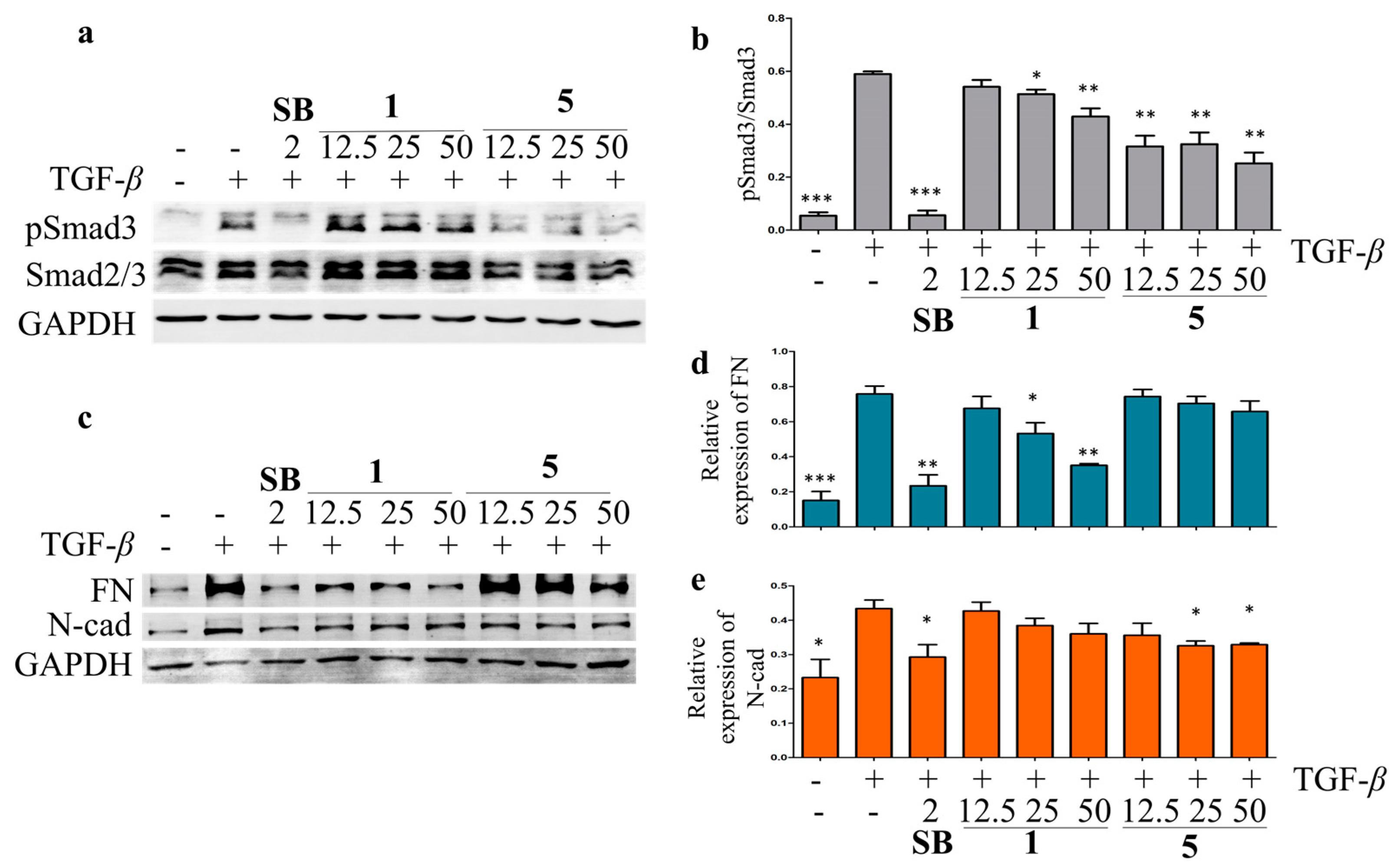 Plants 13 01074 g007