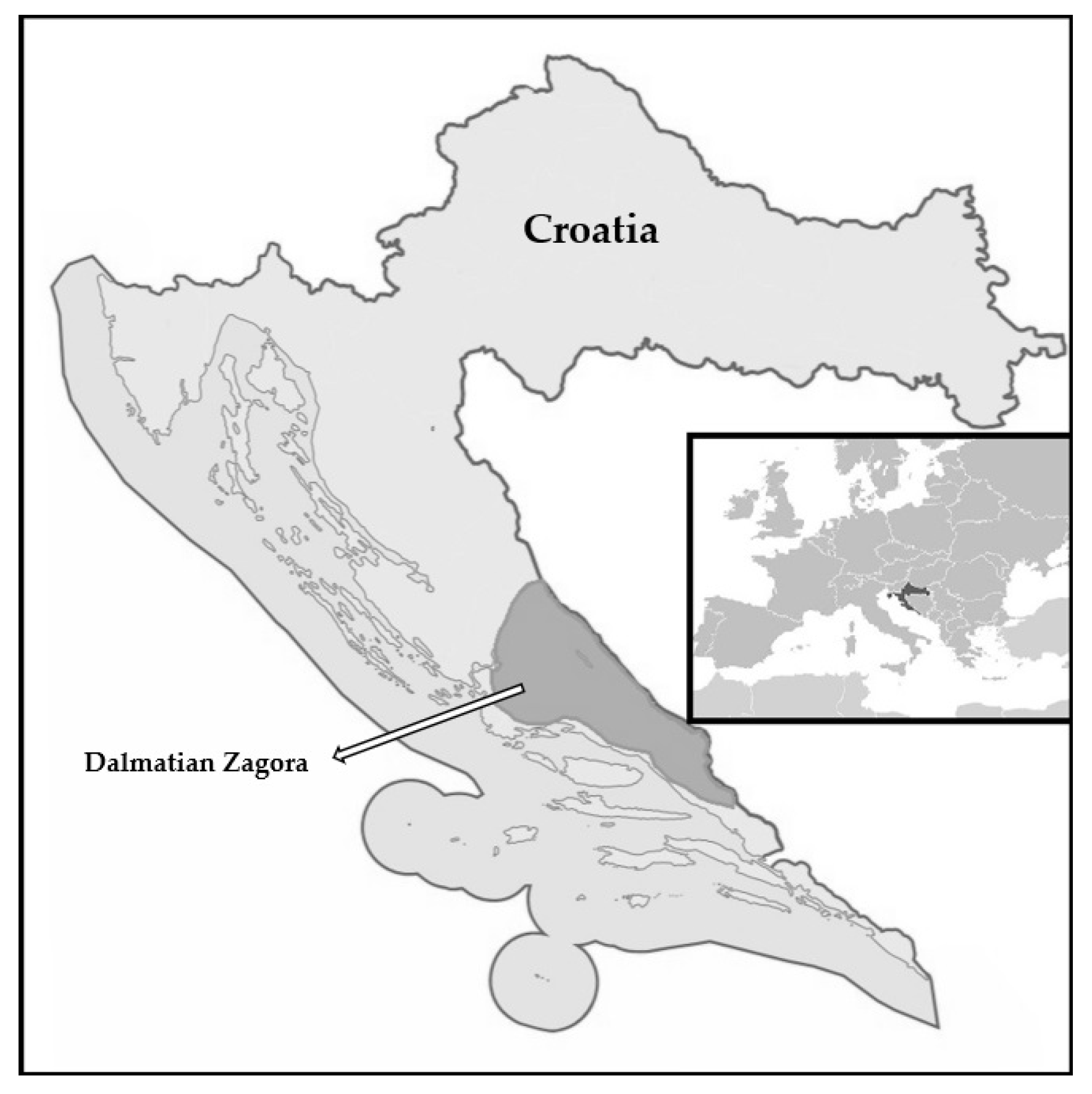 Plants 13 01079 g001