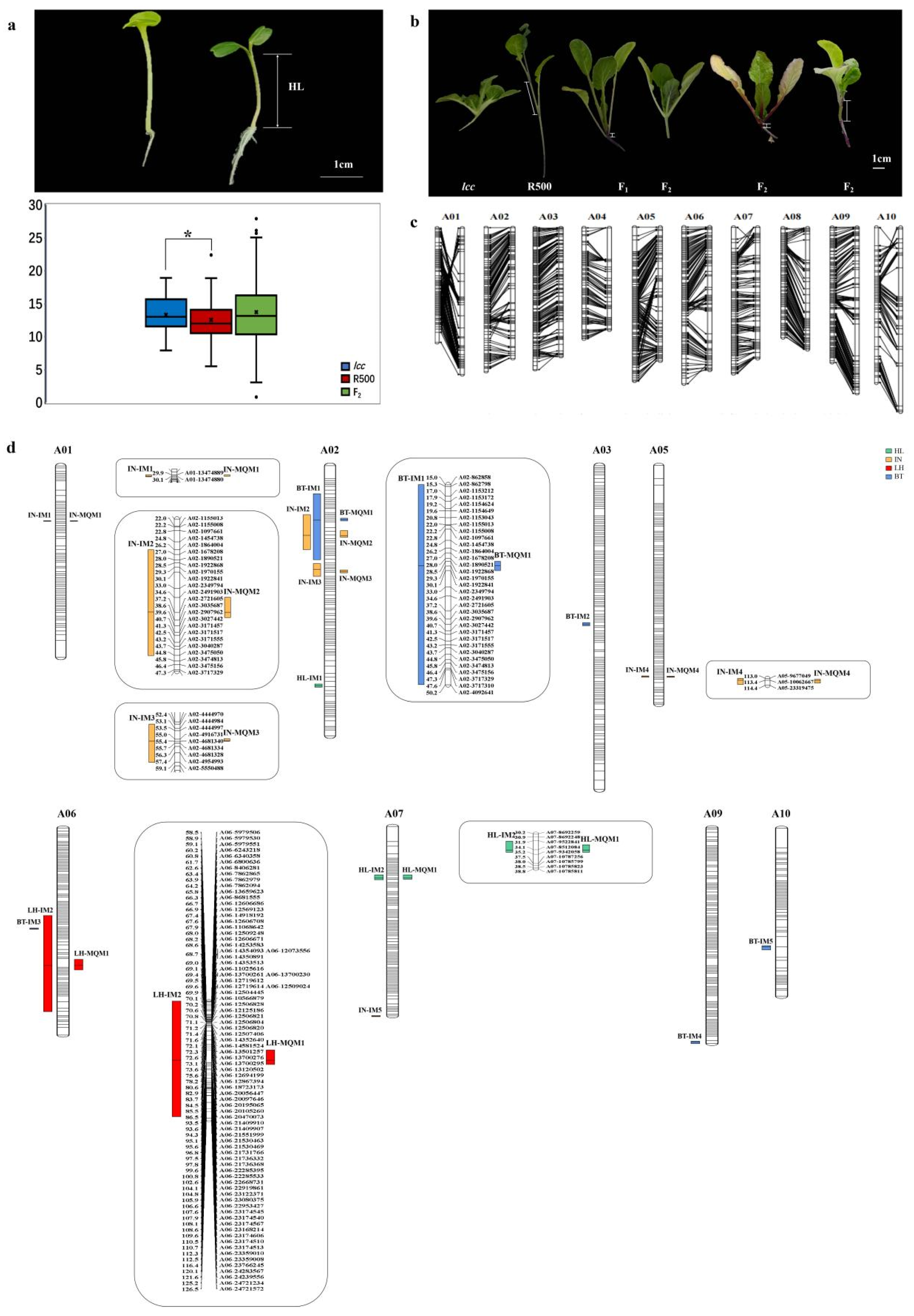 Plants 13 01083 g004