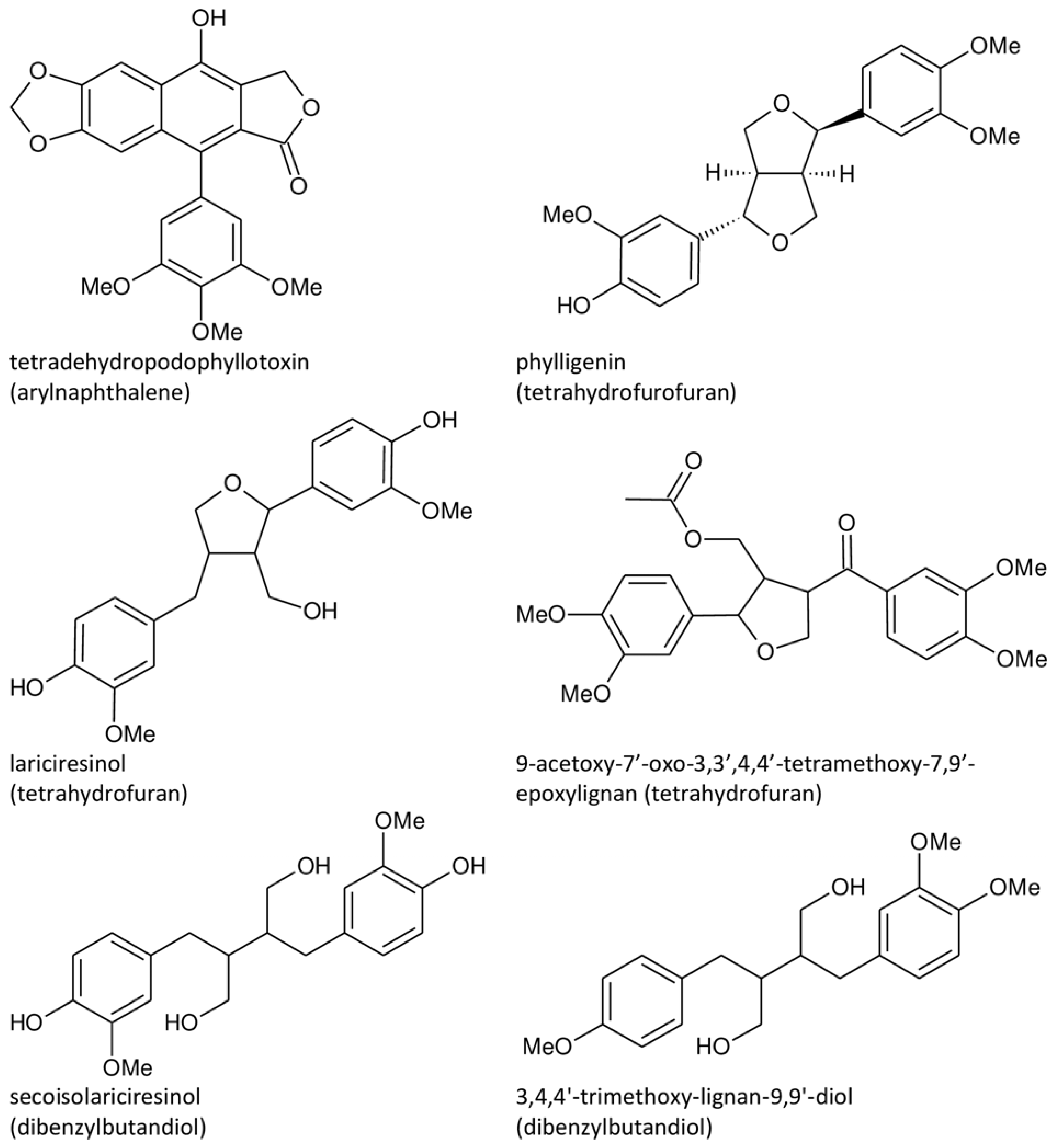 Plants 13 01087 g001 Plants 13 01087 g001