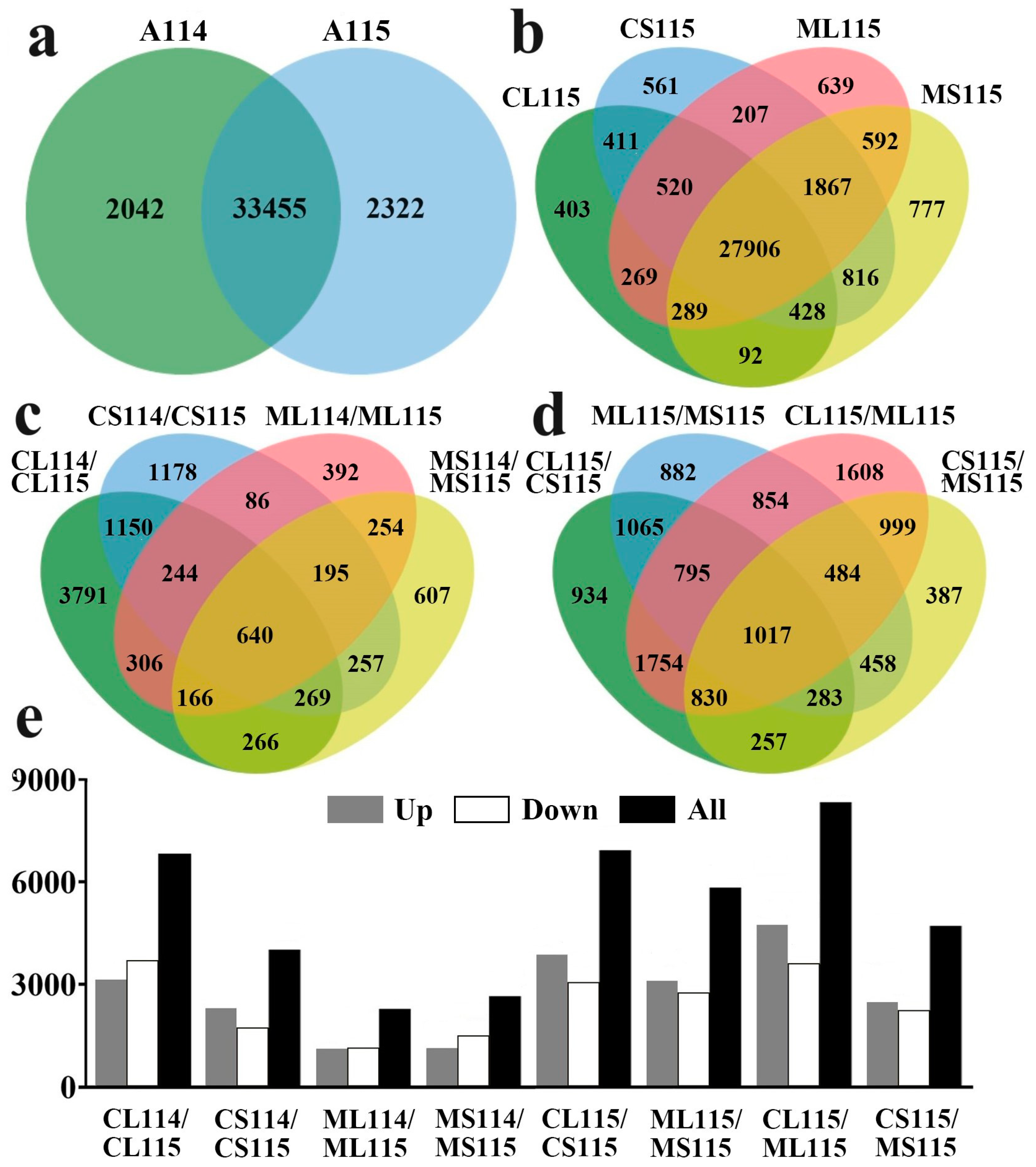 Plants 13 01090 g002