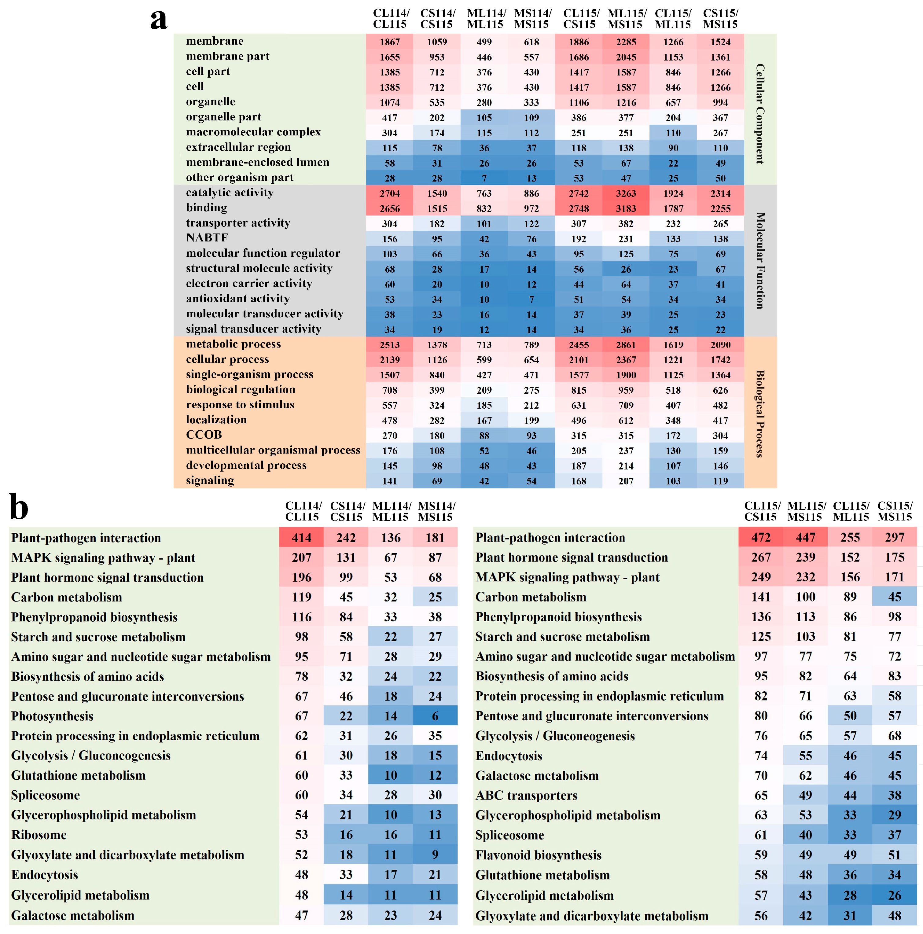 Plants 13 01090 g003