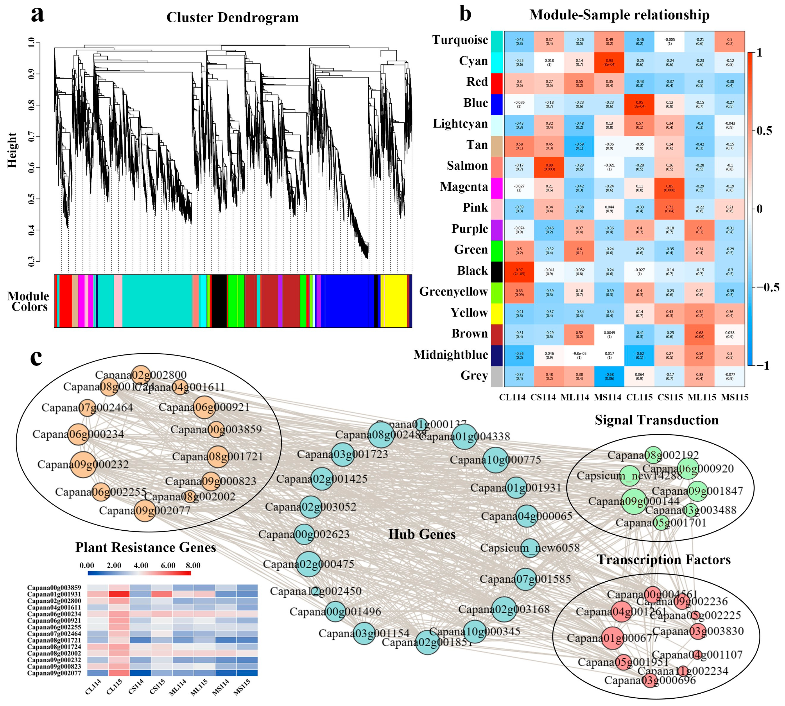 Plants 13 01090 g006