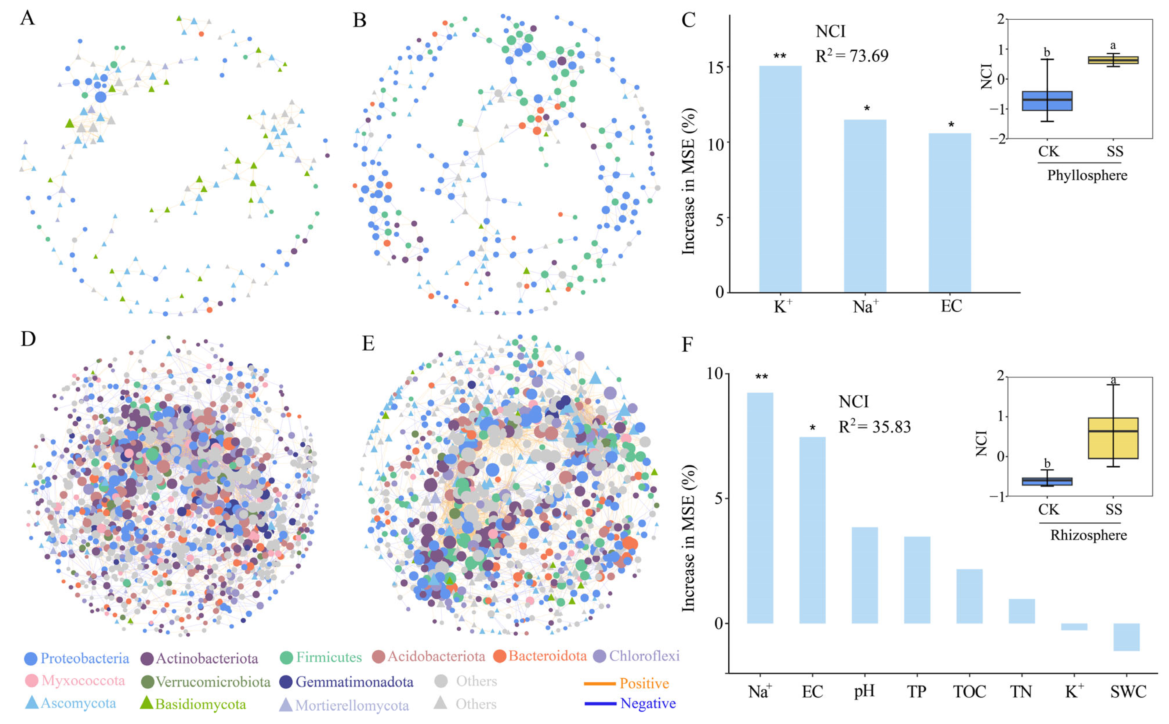 Plants 13 01091 g004