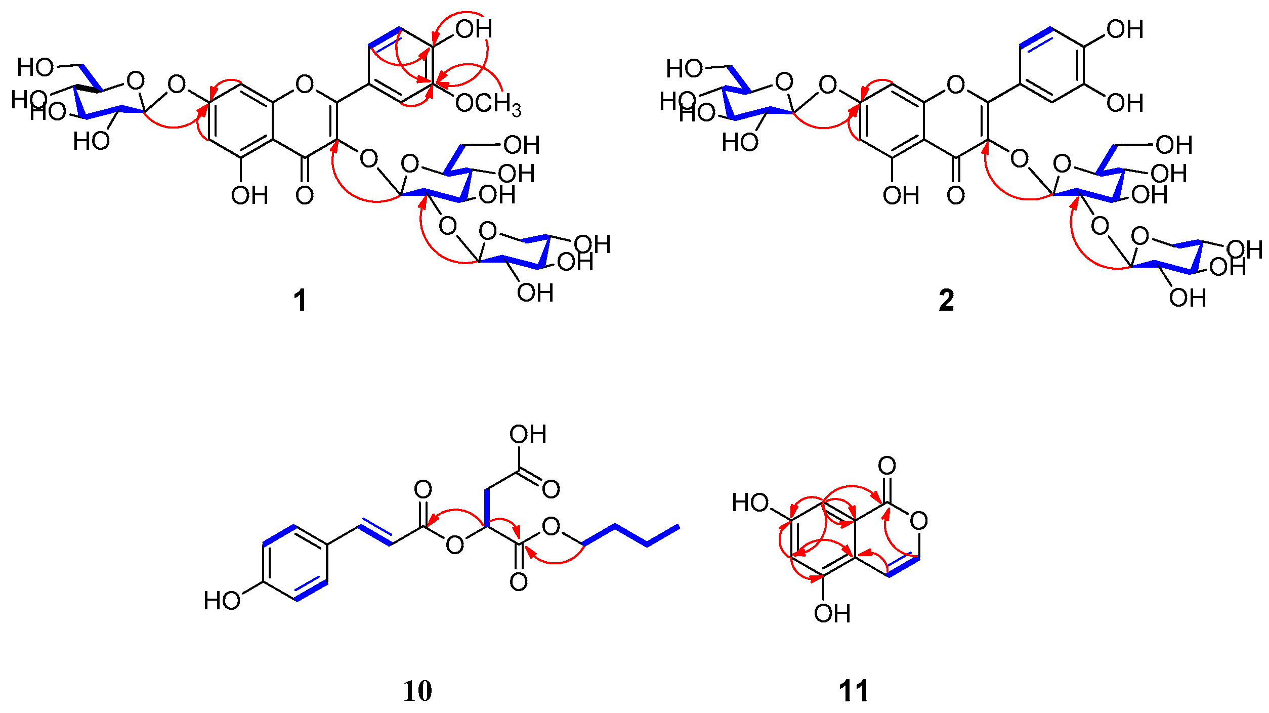 Plants 13 01094 g002