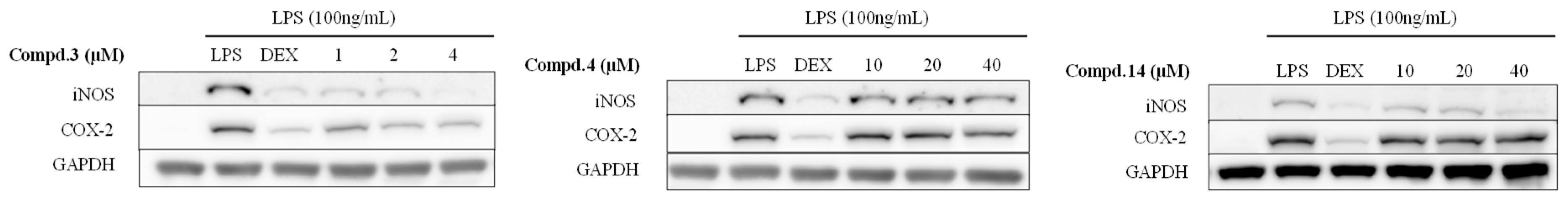 Plants 13 01094 g004