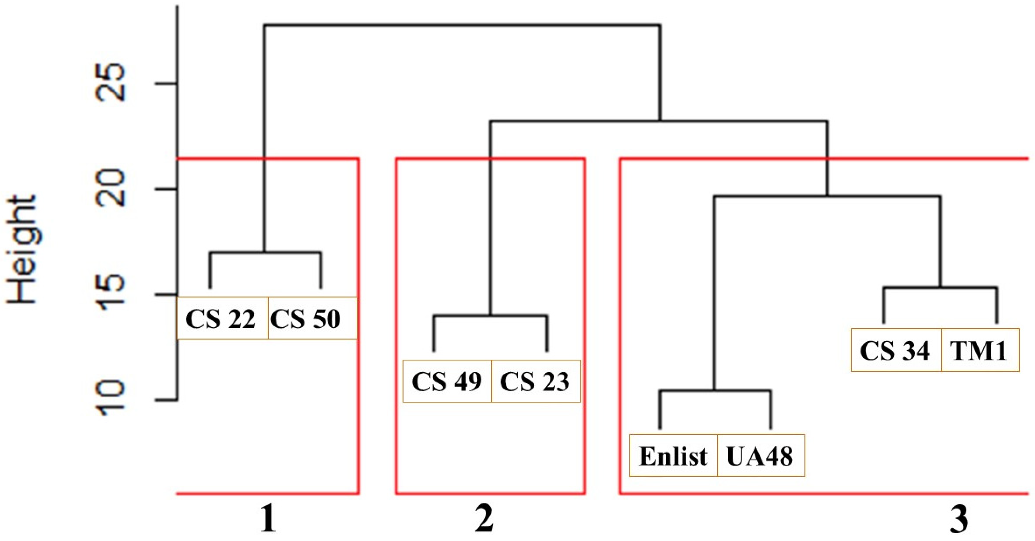Plants 13 01102 g003