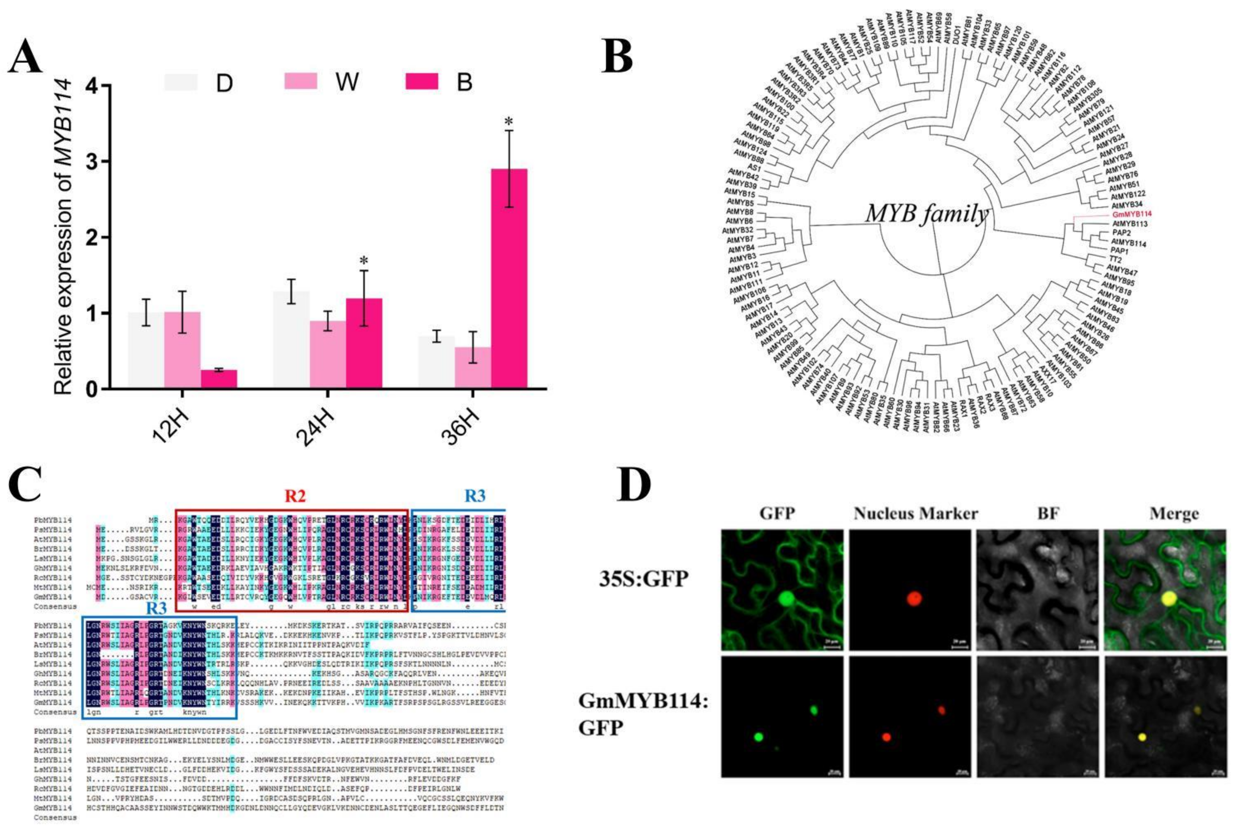 Plants 13 01107 g002