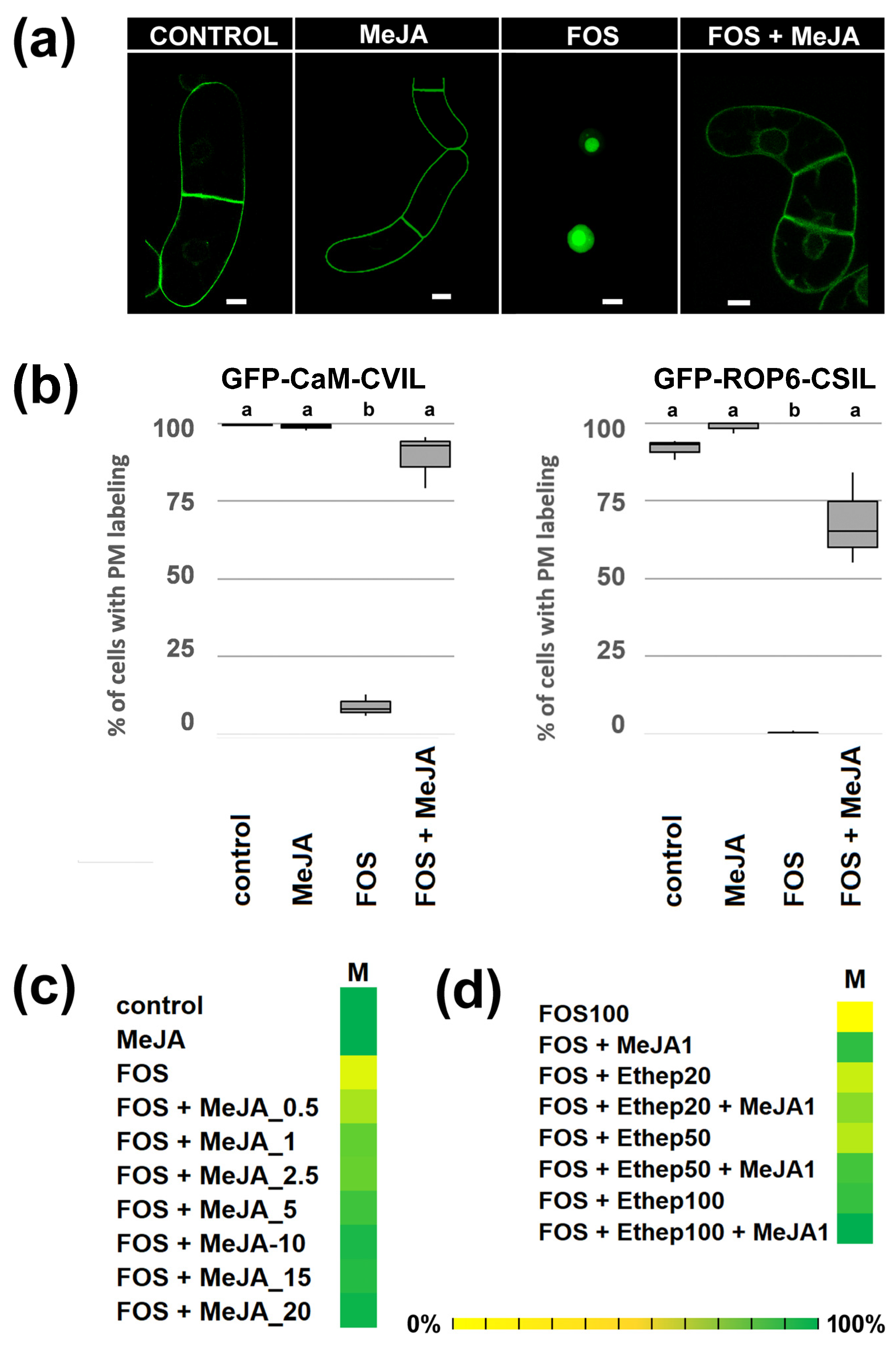 Plants 13 01110 g001