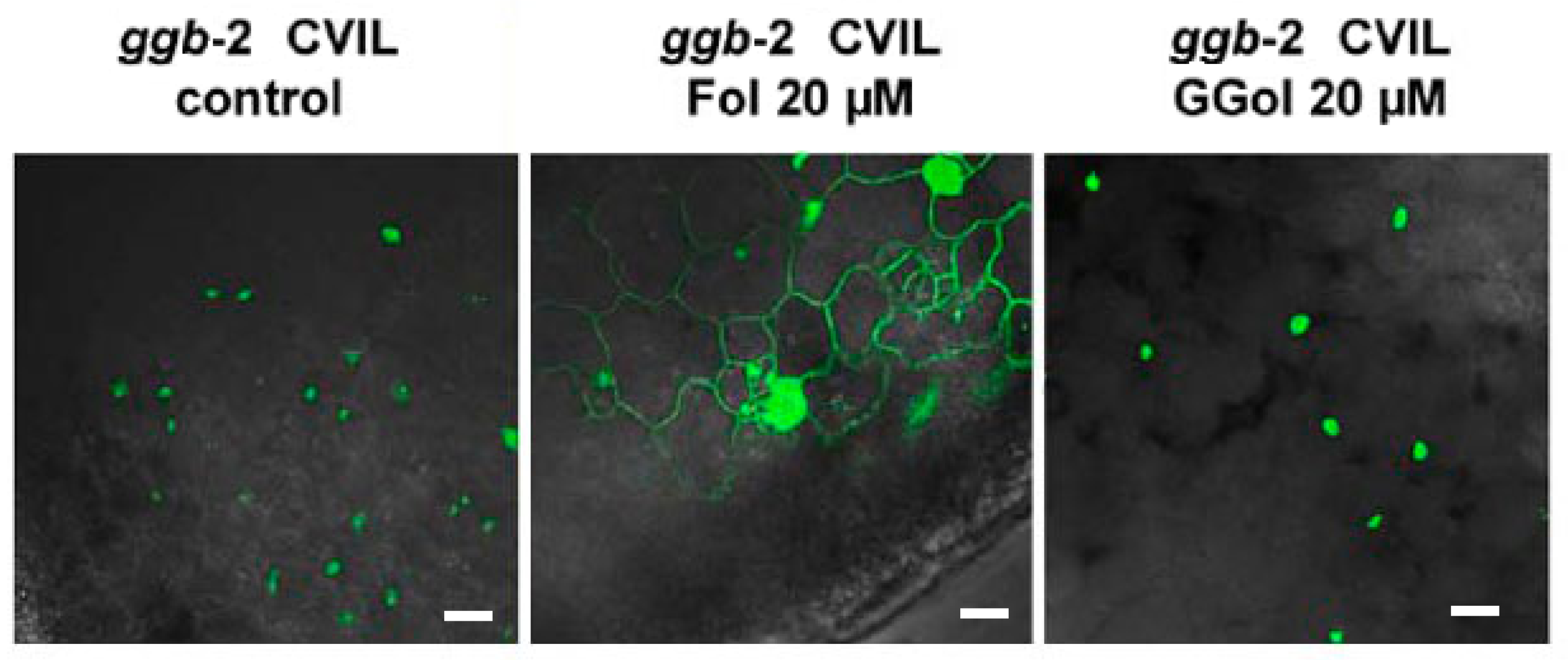 Plants 13 01110 g004