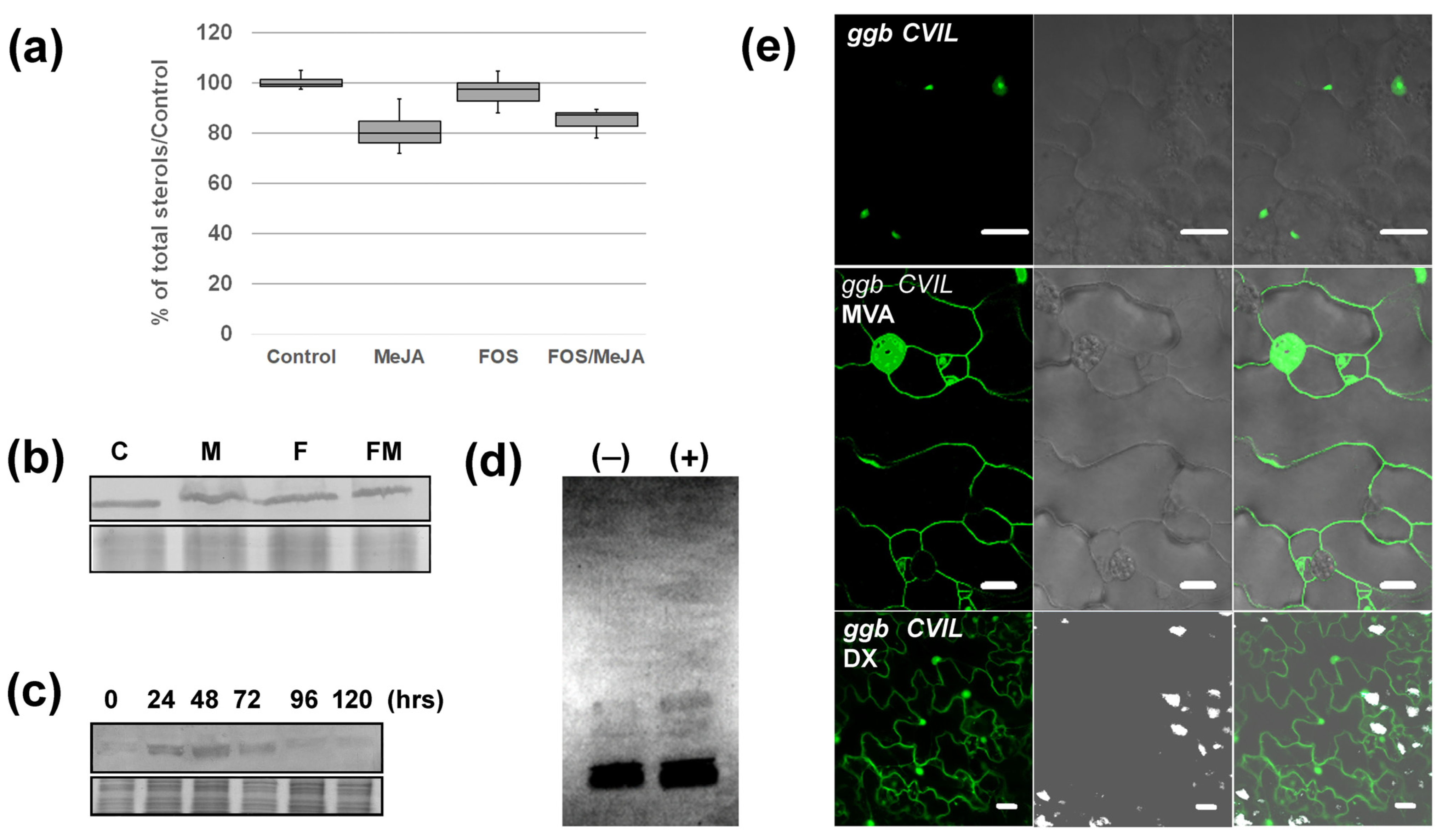 Plants 13 01110 g005