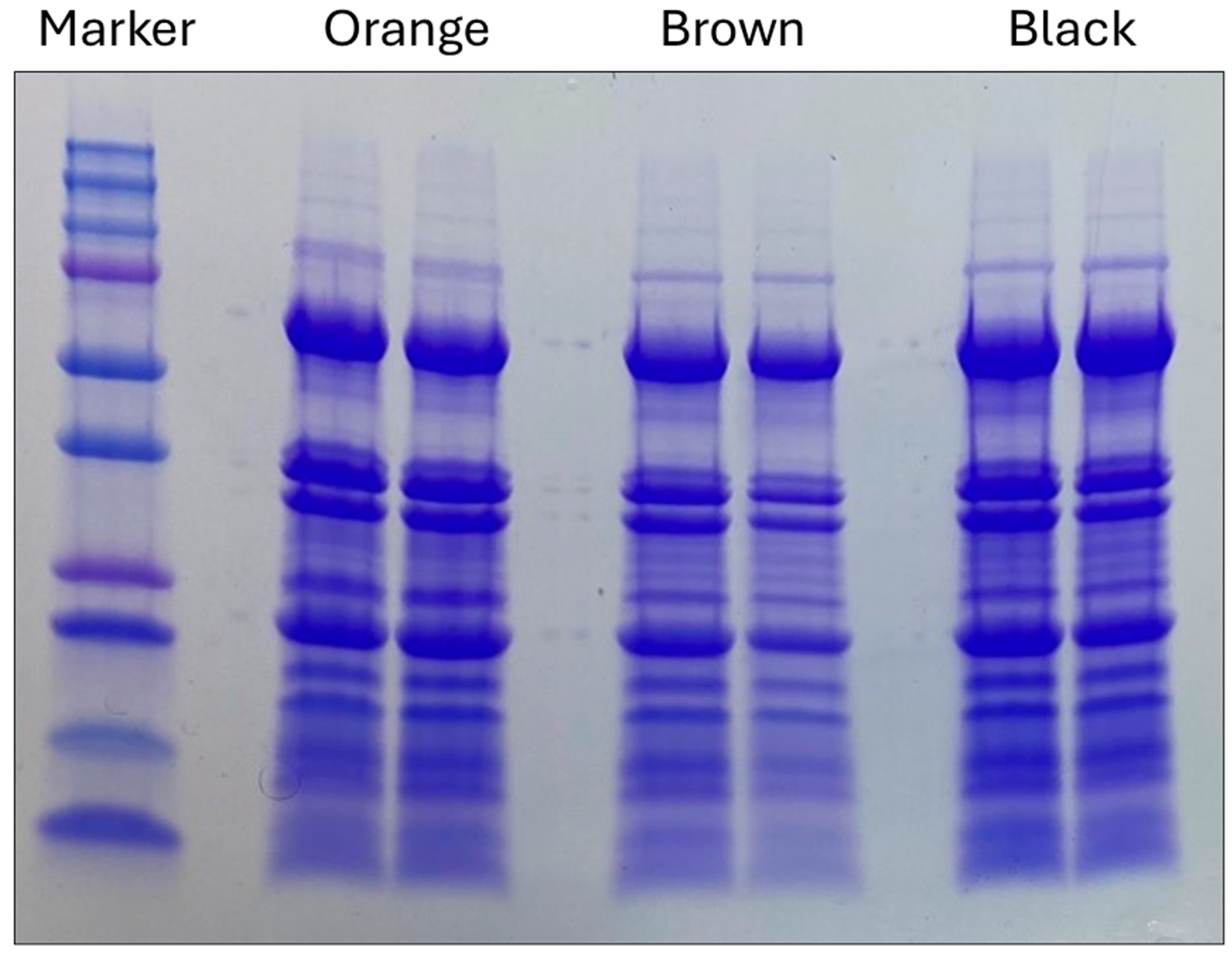 Plants 13 01111 g001