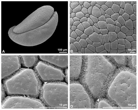 Plants 13 01114 g003