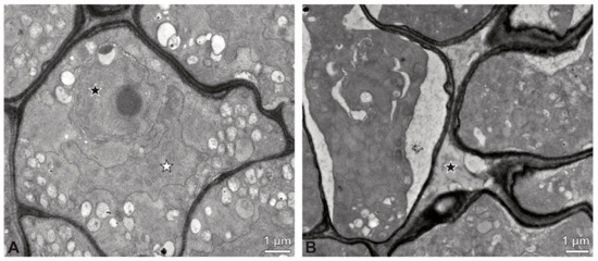 Plants 13 01114 g007