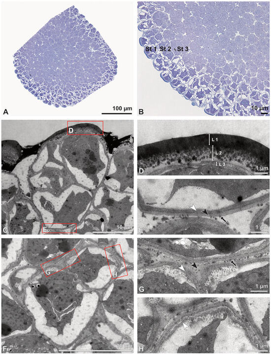 Plants 13 01114 g016