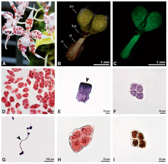 Plants 13 01114 g019