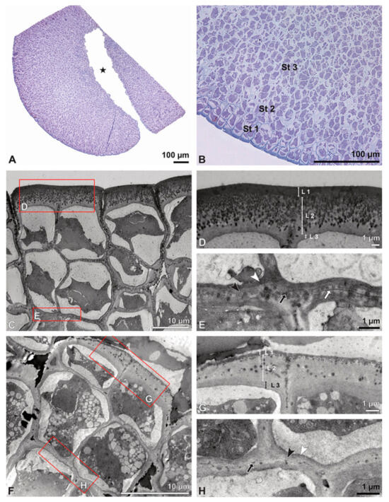 Plants 13 01114 g022