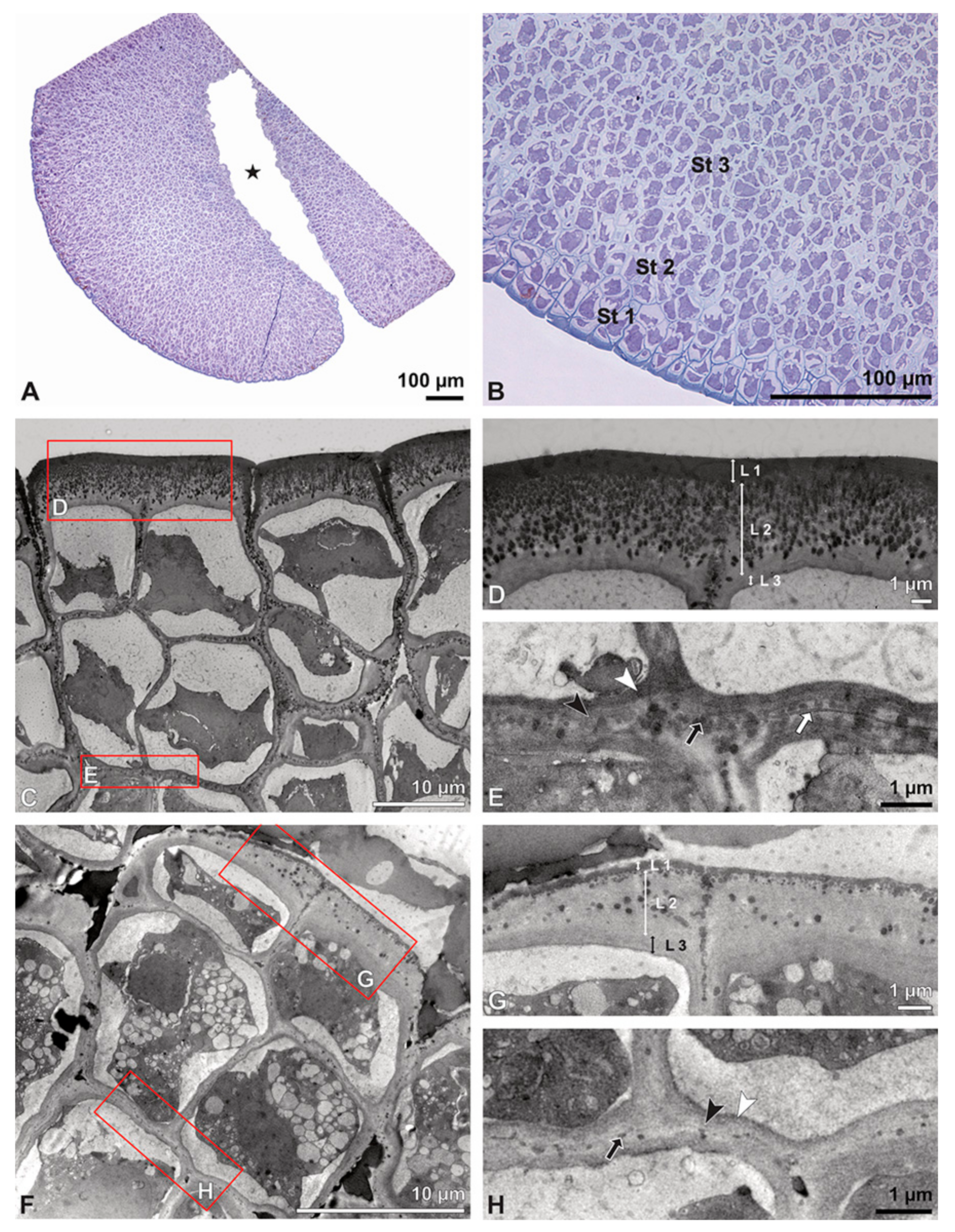 Plants 13 01114 g022