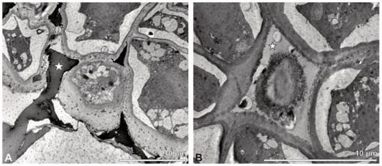 Plants 13 01114 g024