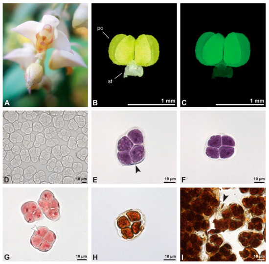 Plants 13 01114 g025