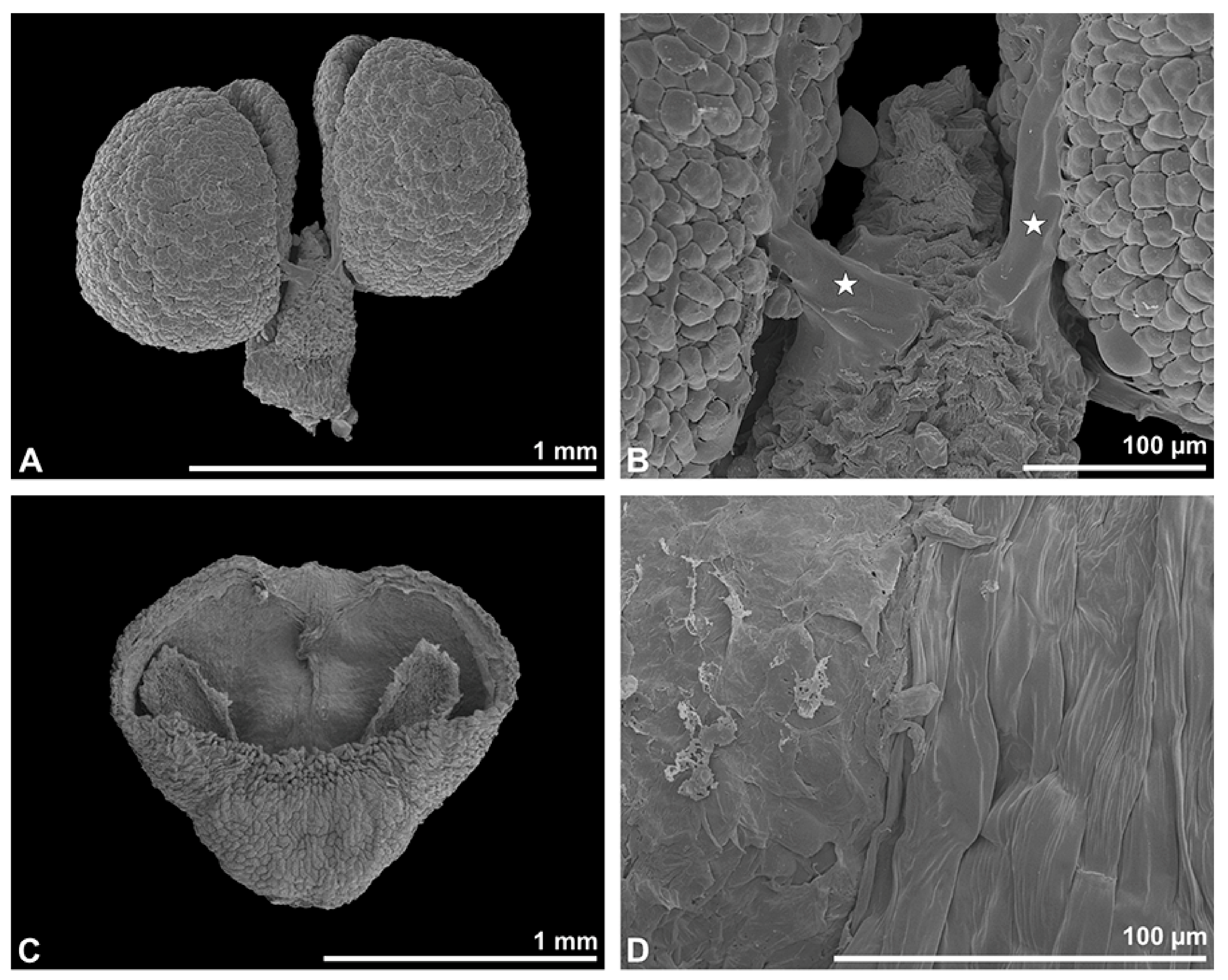 Plants 13 01114 g027