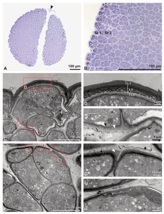 Plants 13 01114 g029