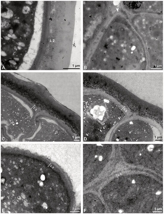 Plants 13 01114 g030