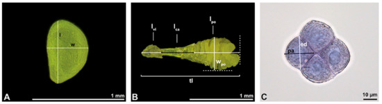 Plants 13 01114 g032