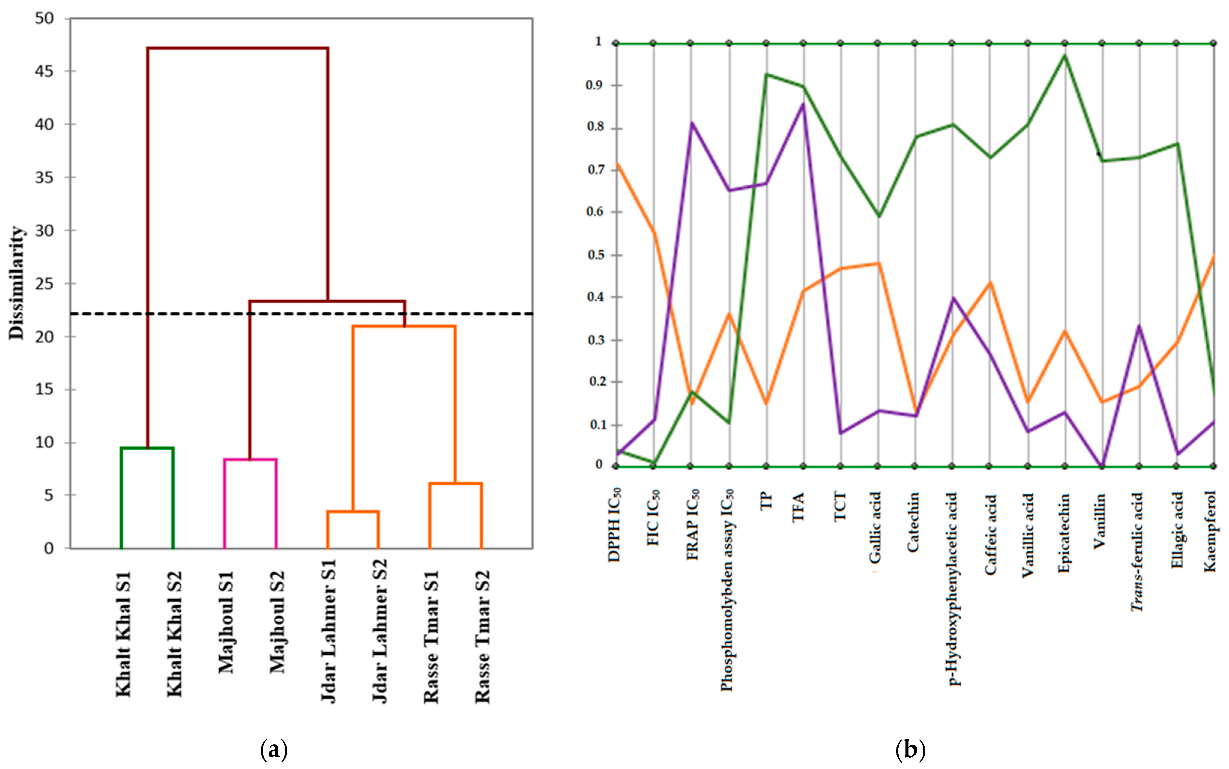 Plants 13 01119 g004