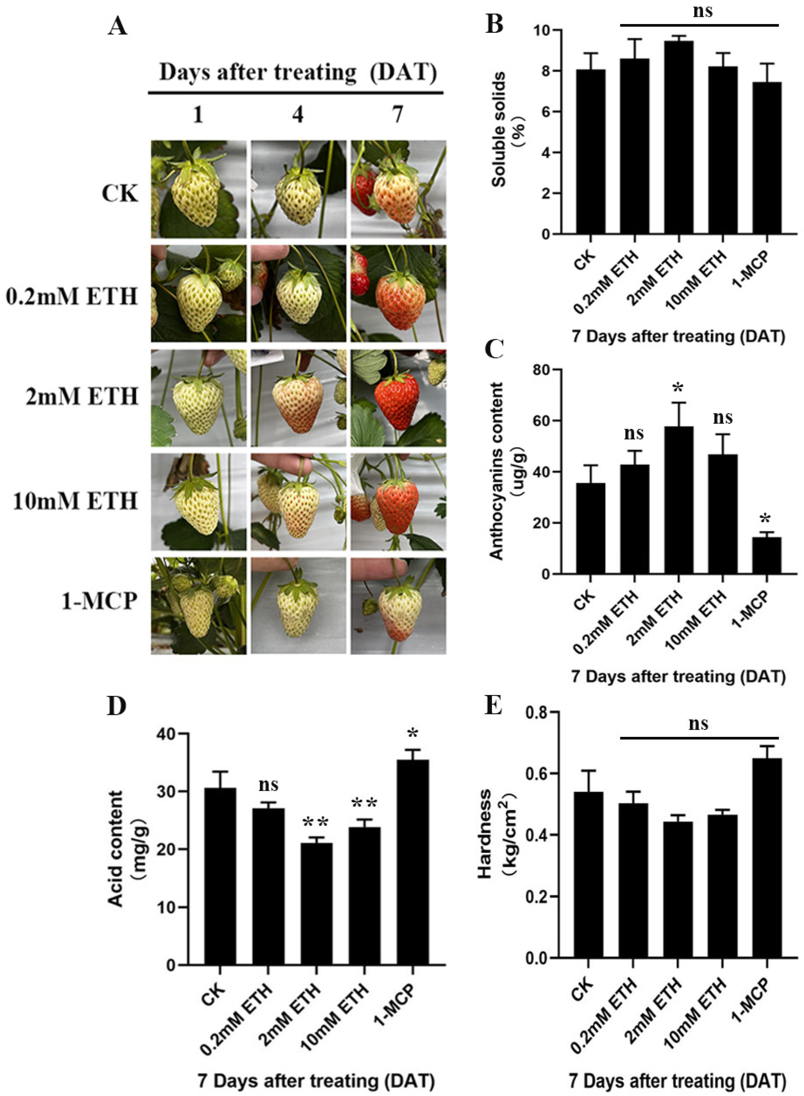 Plants 13 01121 g001