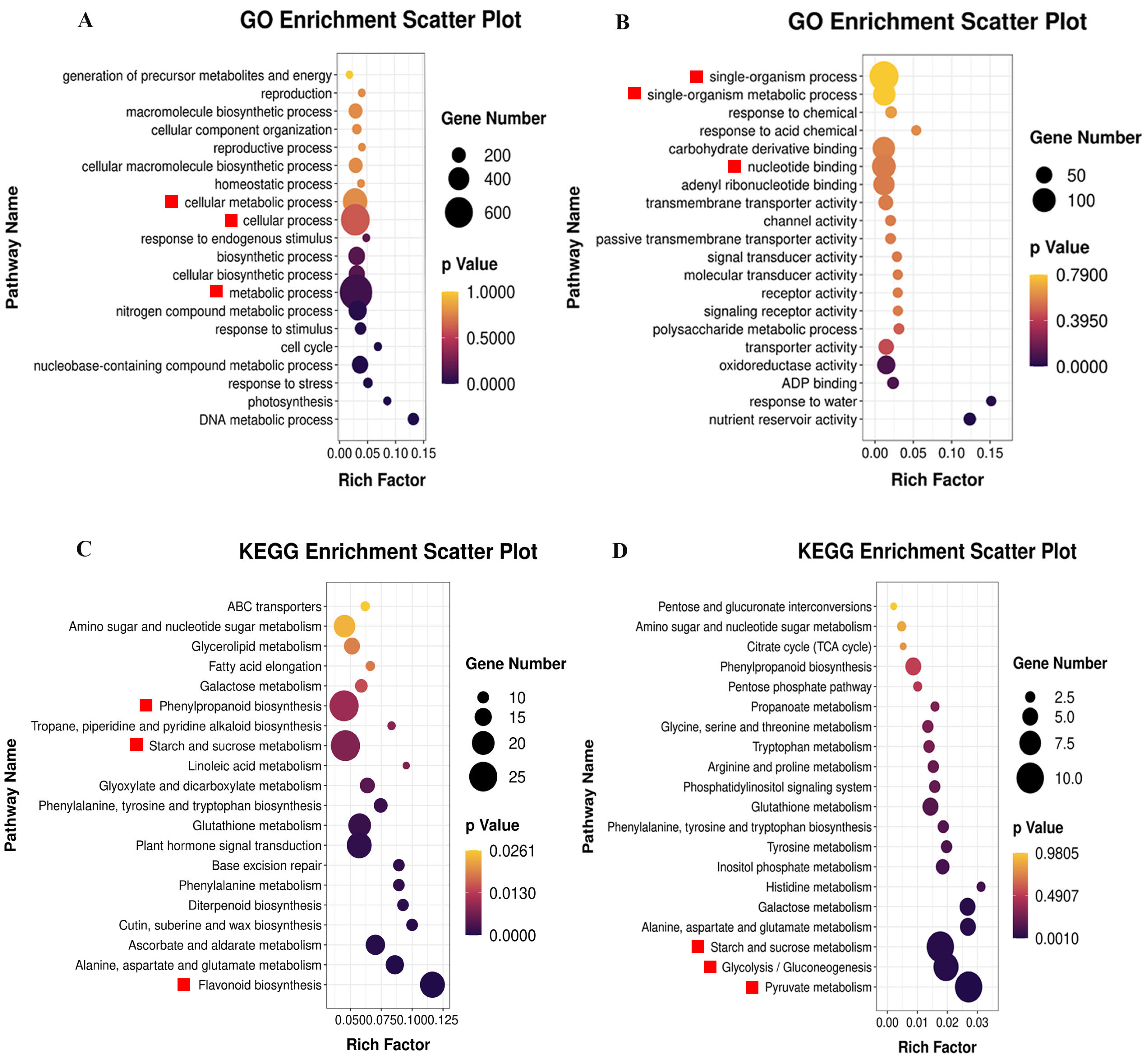 Plants 13 01121 g003