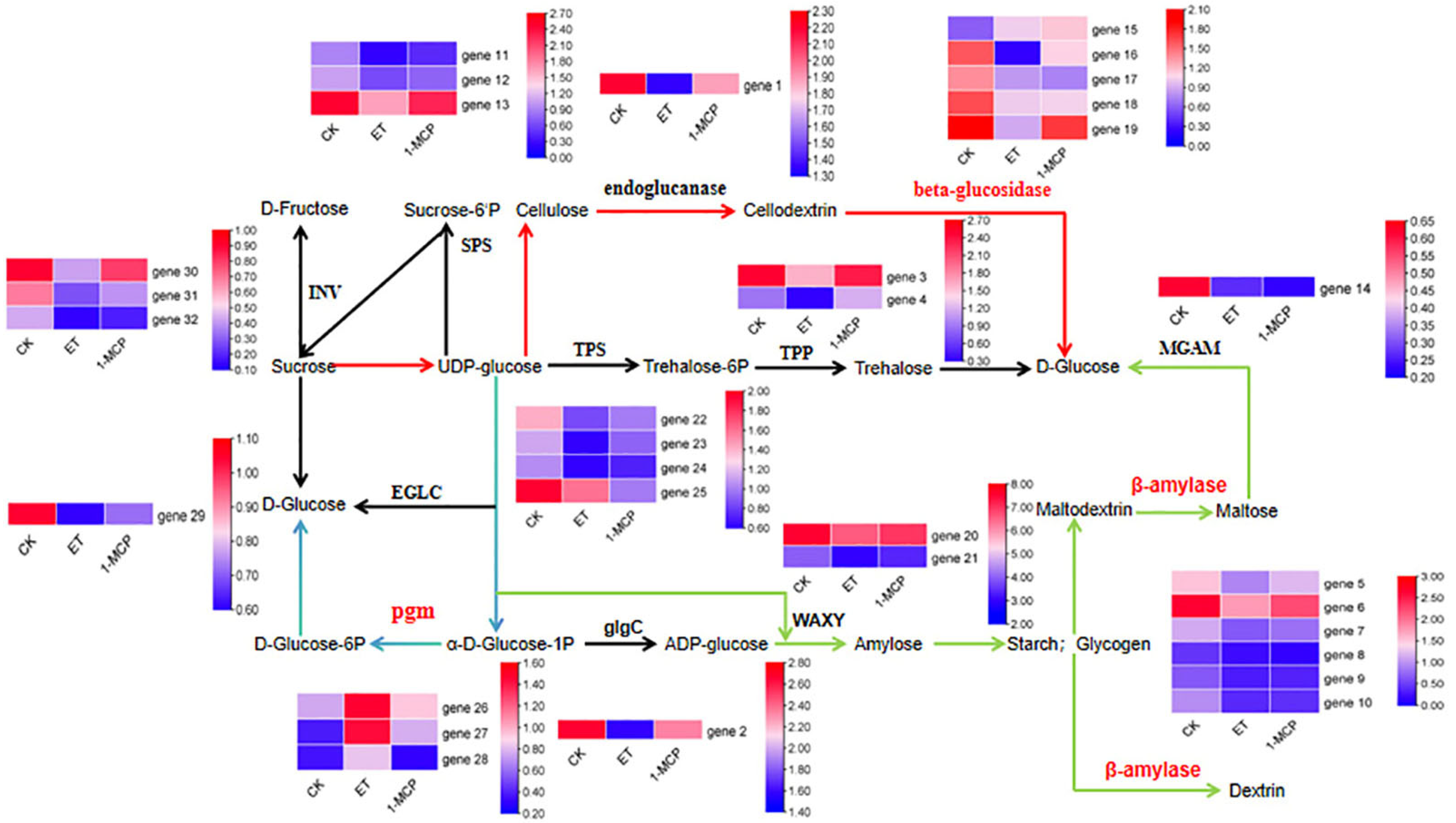 Plants 13 01121 g004