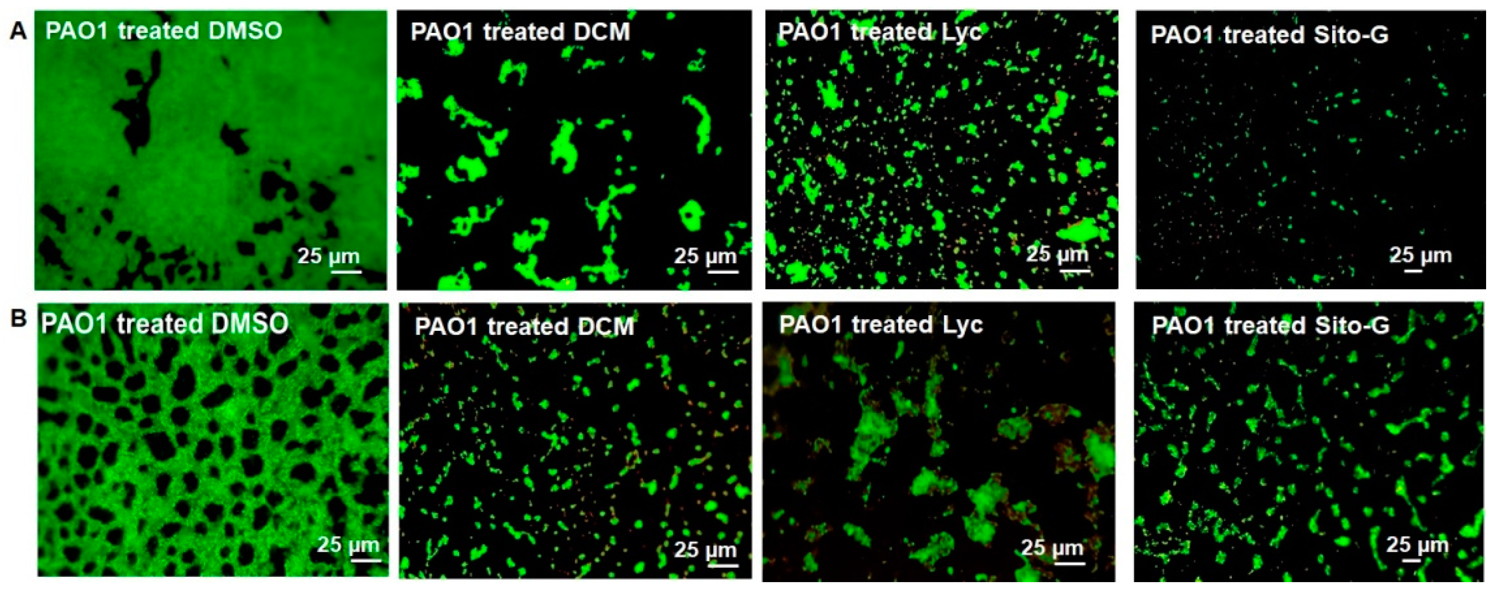 Plants 13 01122 g005