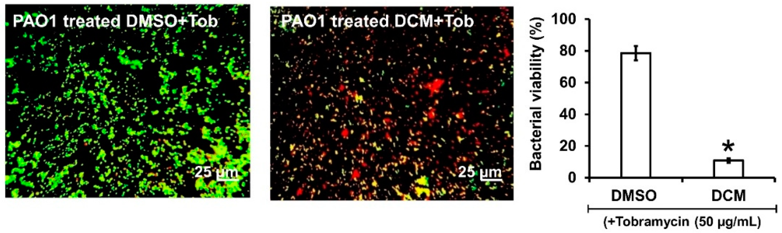 Plants 13 01122 g006