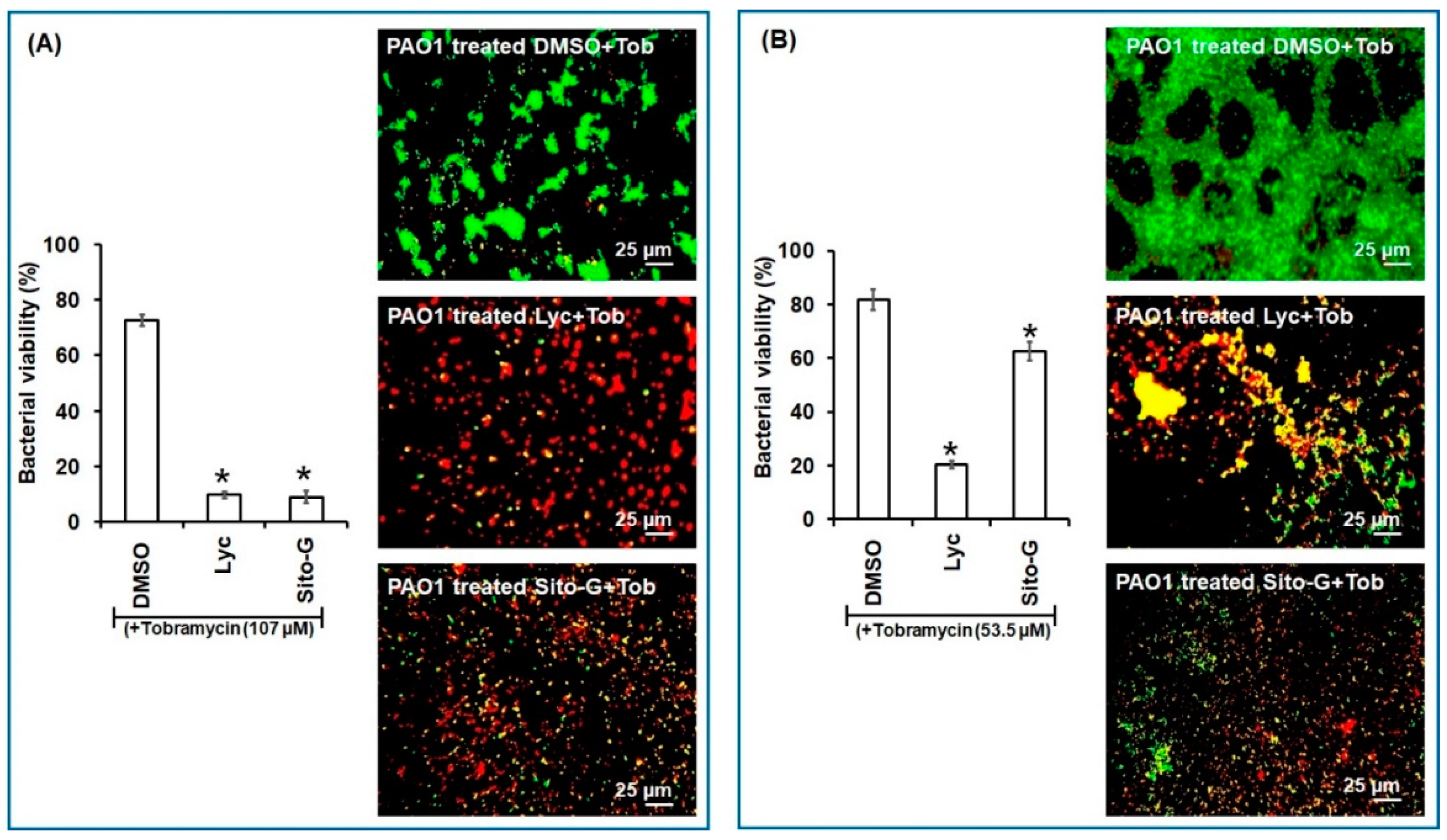 Plants 13 01122 g007