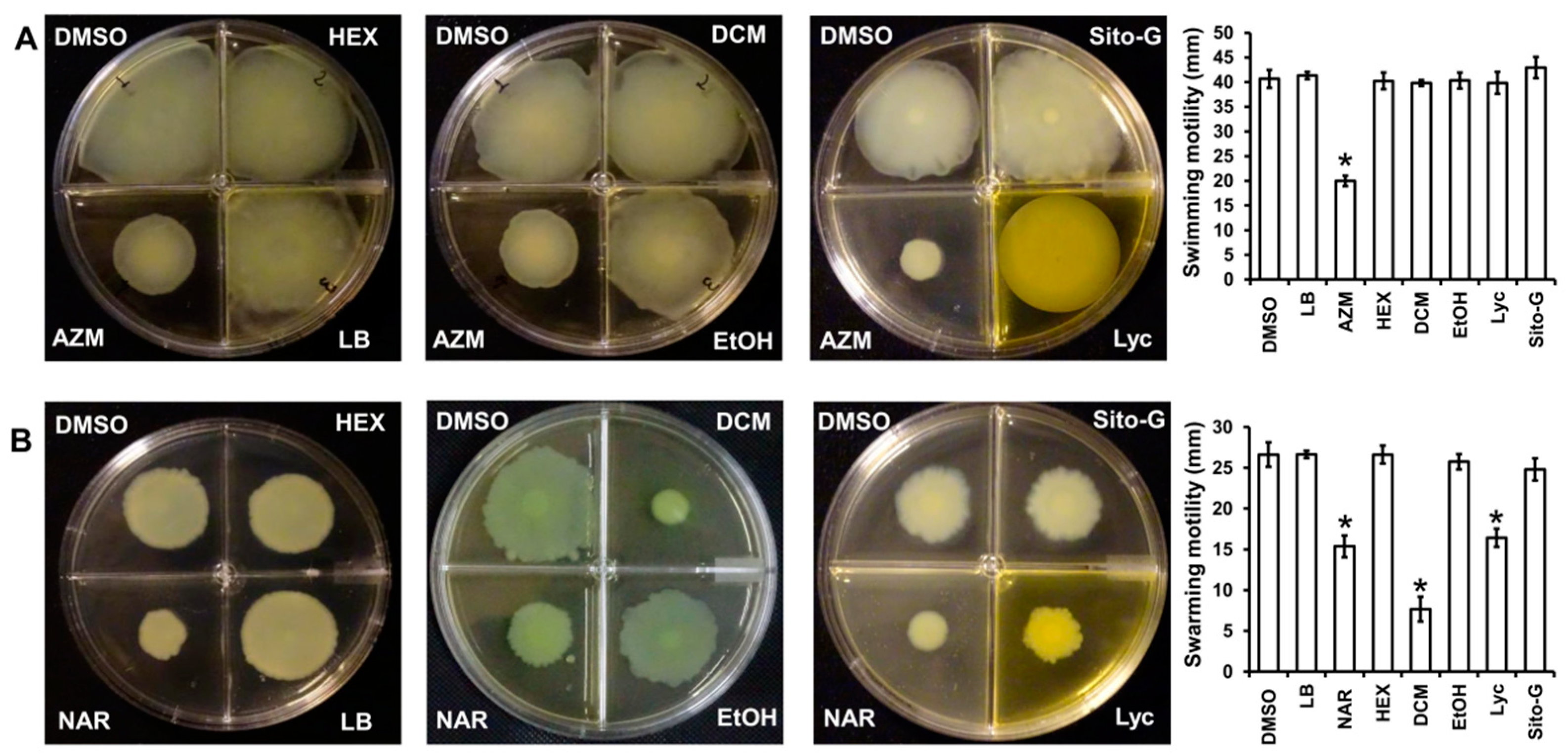 Plants 13 01122 g008