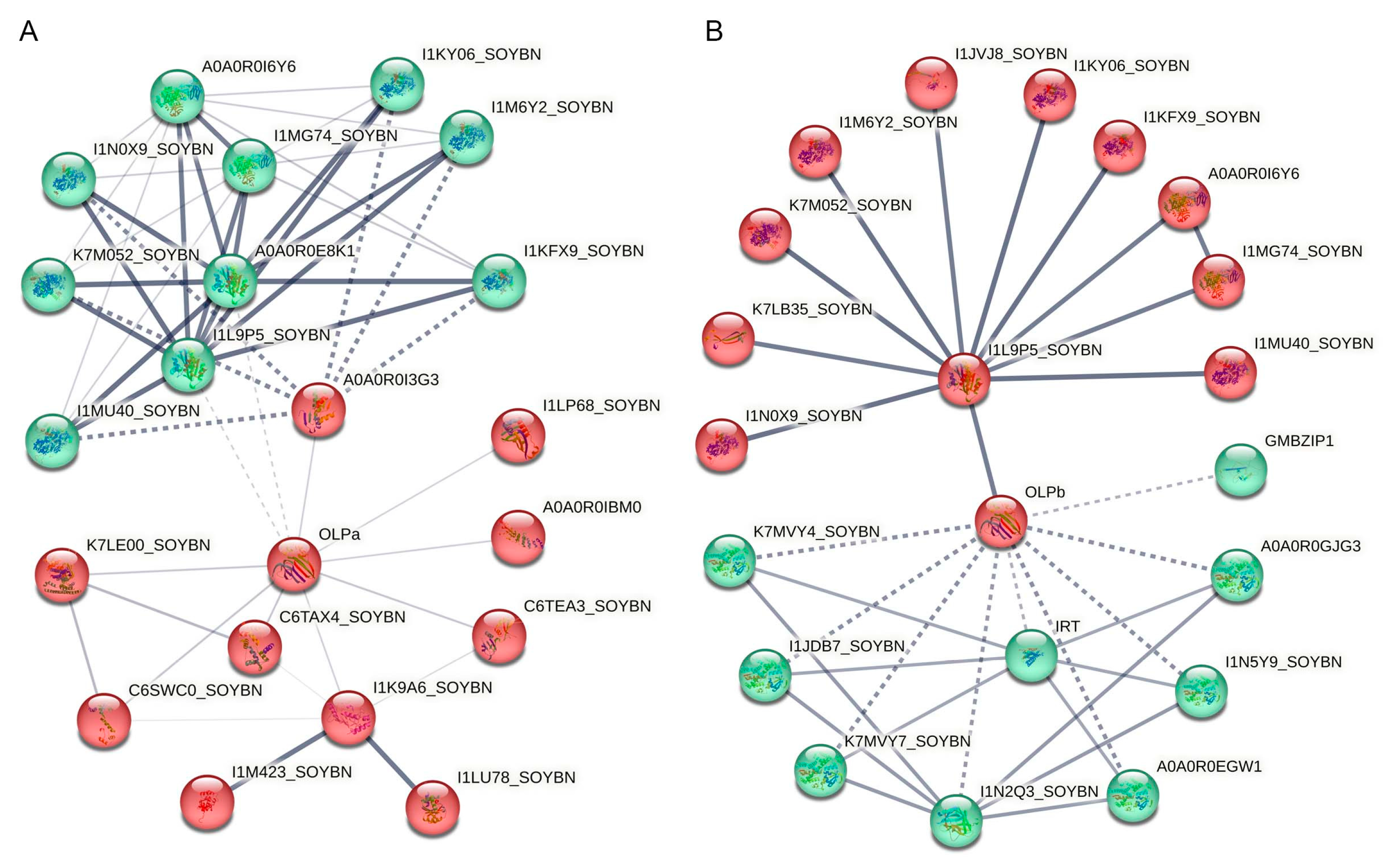 Plants 13 01124 g004