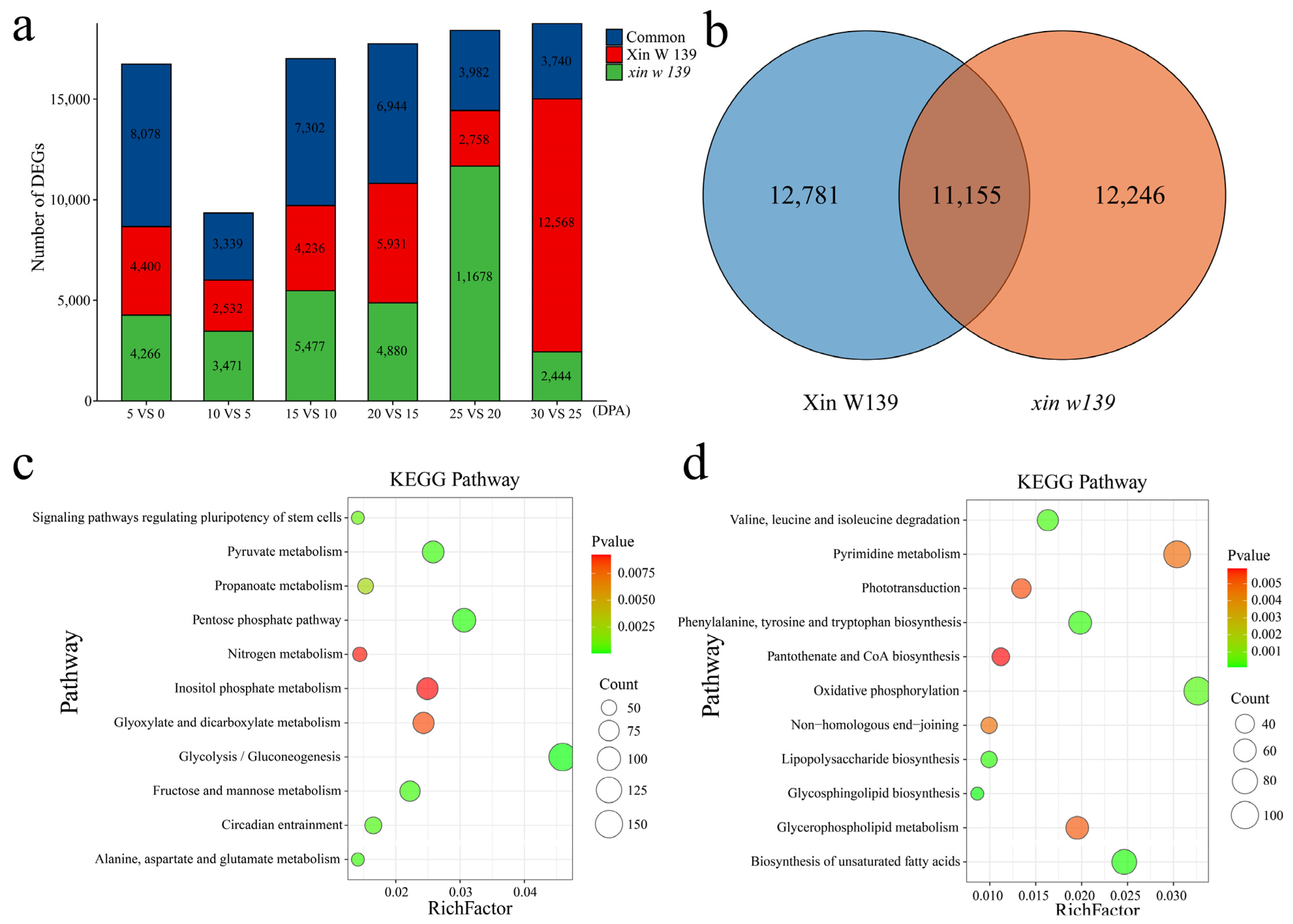 Plants 13 01127 g003