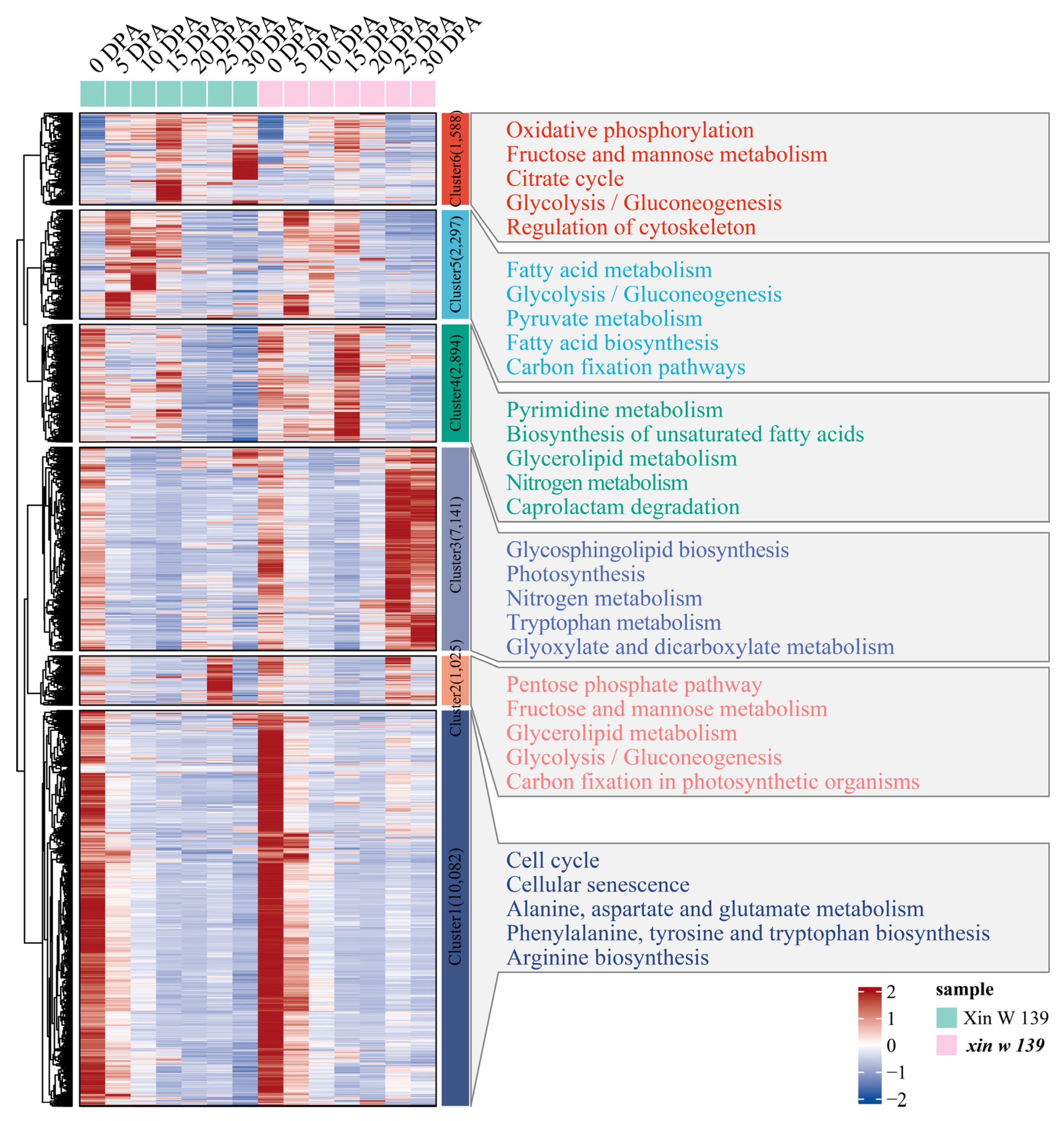 Plants 13 01127 g004