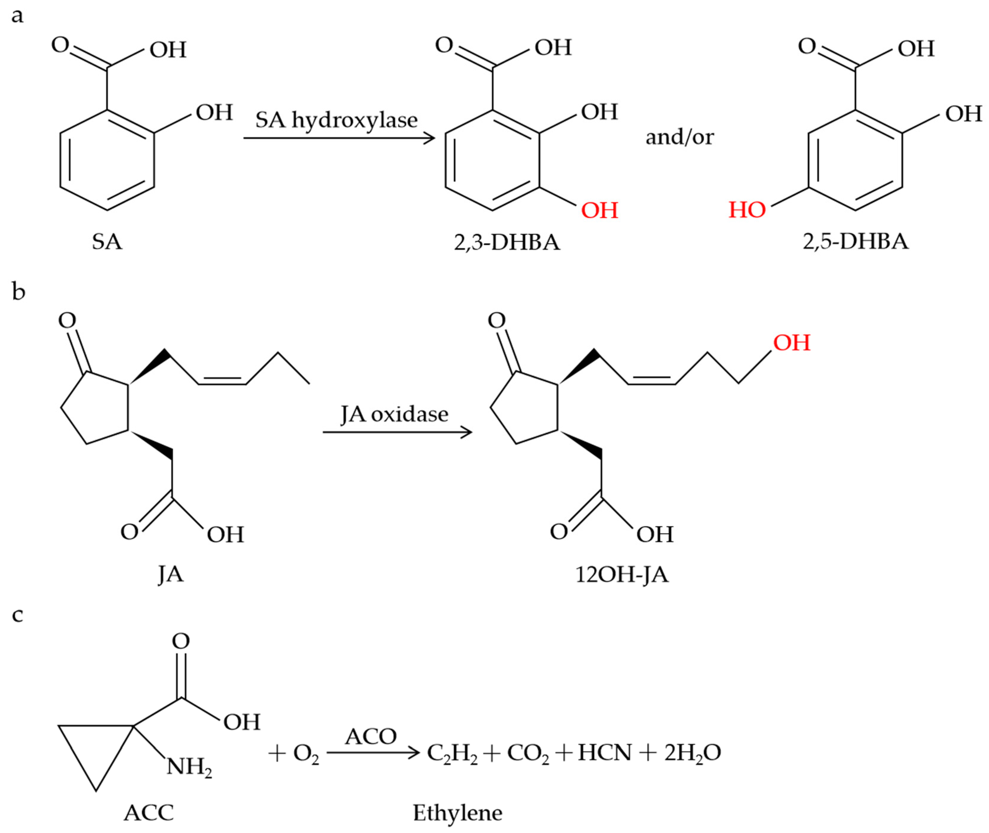 Plants 13 01129 g001